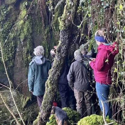 The fascination of looking at rock faces!