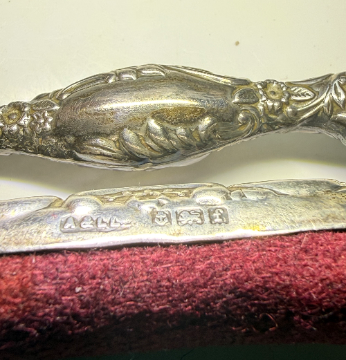 Silver Nail Buffer 1905