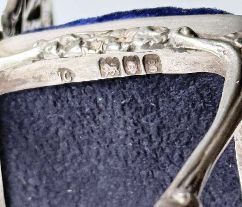 Close-up of the inside of a shoe, showing metal shoehorn and size markings.