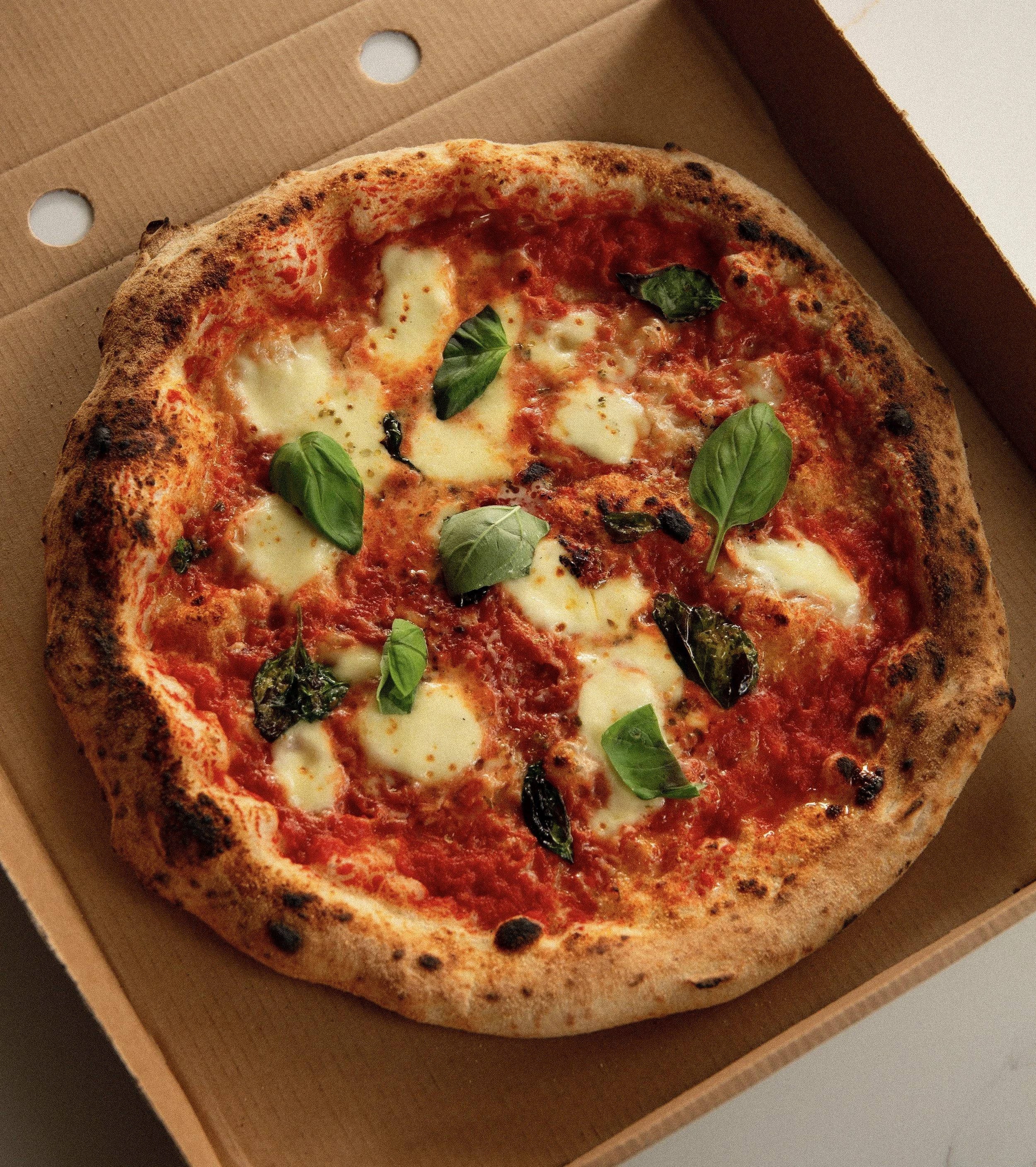 A freshly baked pizza with mozzarella cheese, tomato sauce, and fresh basil leaves in a pizza box.