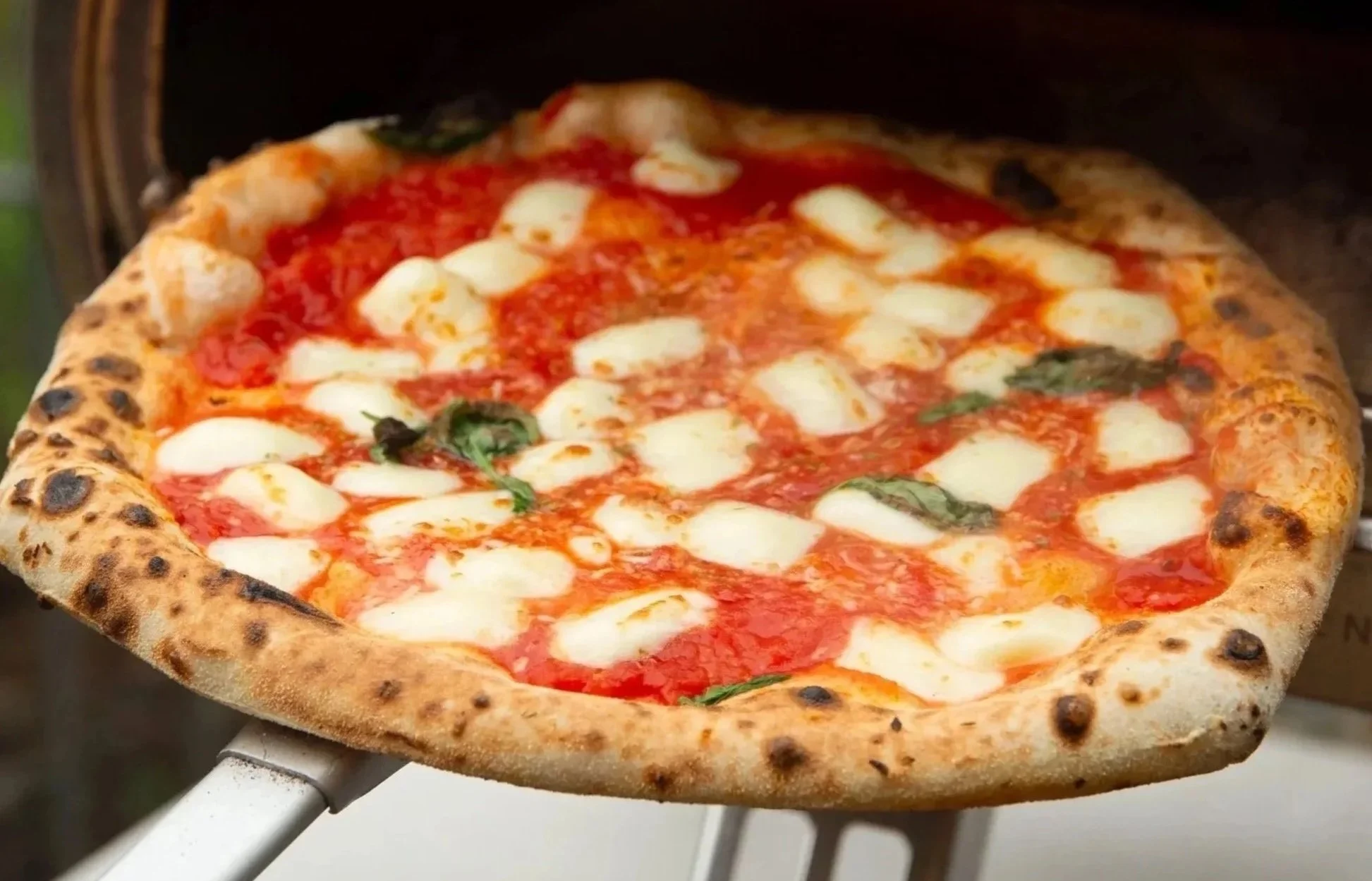 MARGHERITA