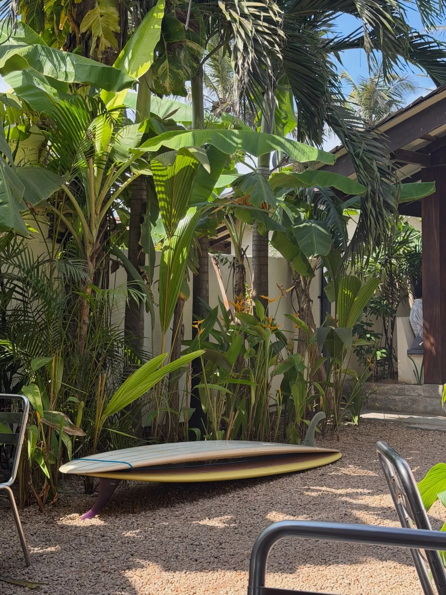 🍀🦎🦜 *teleportation*

sleep, eat, surf, yoga, repeat.