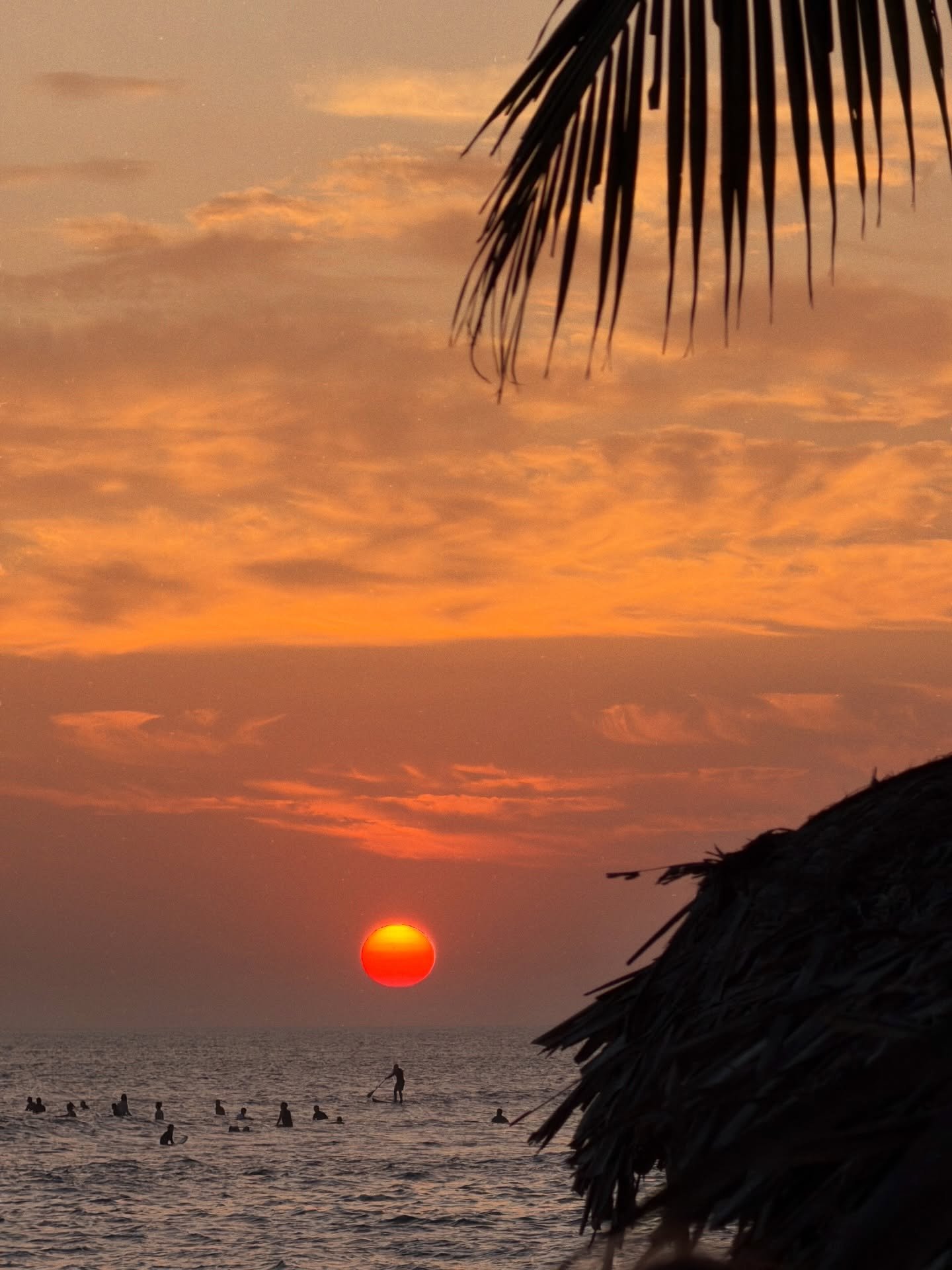 🌞🌴 currently dating the souleil