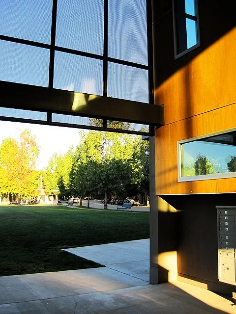 Exterior view of a modern building with large windows and a wooden facade, with sunlight casting shadows, and a green park visible in the background.