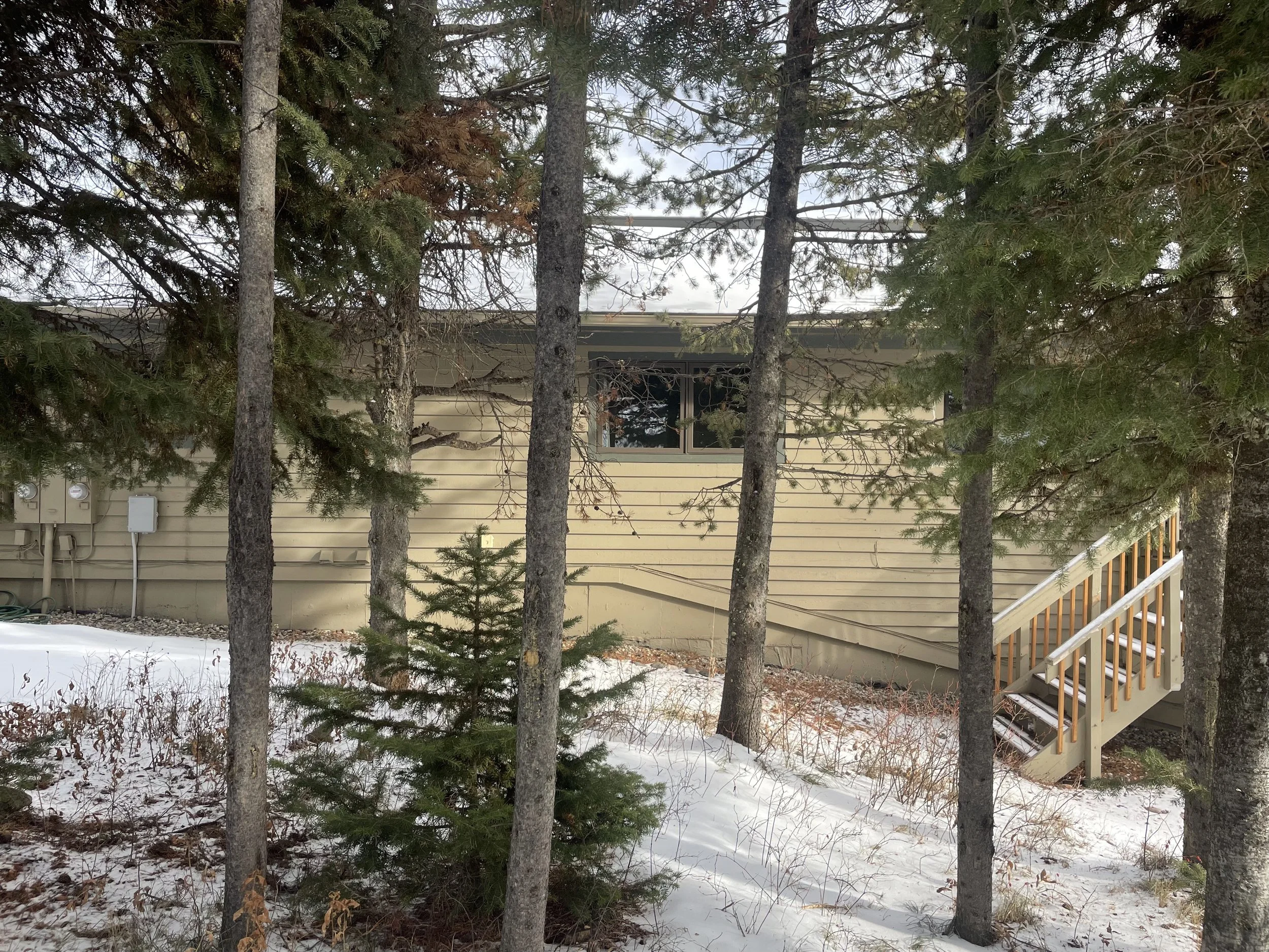 Backyard scene with trees, snow on the ground, and a house with beige siding and stairs leading up to a door.