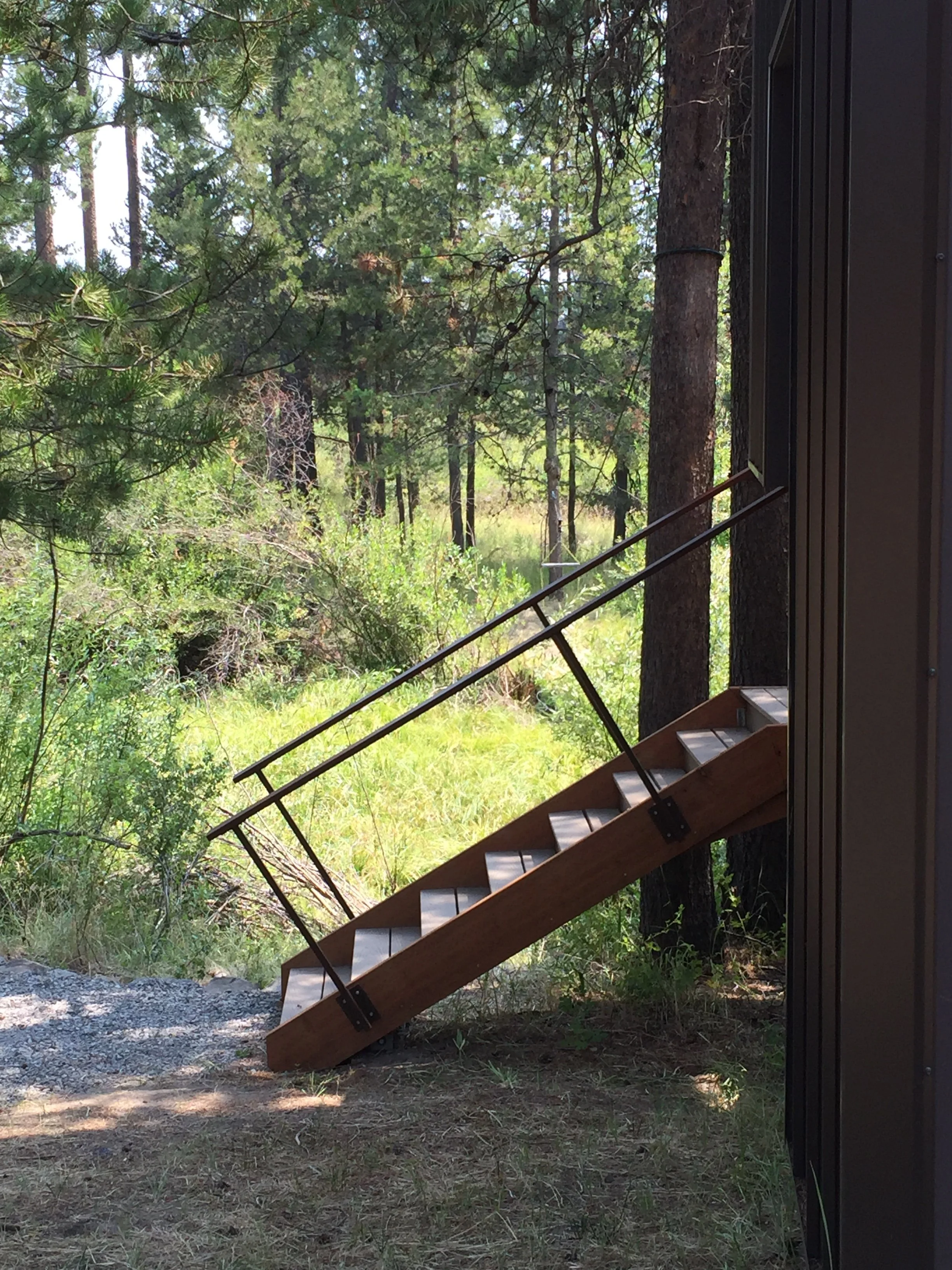 A forest view seen from the side of a dark building, with a staircase leading down to the ground, and tall trees with green leaves and pine needles.