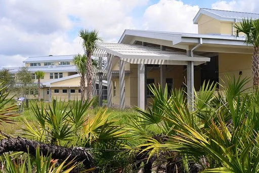 Modern house with a porch, surrounded by tropical plants and palm trees, under a partly cloudy sky.