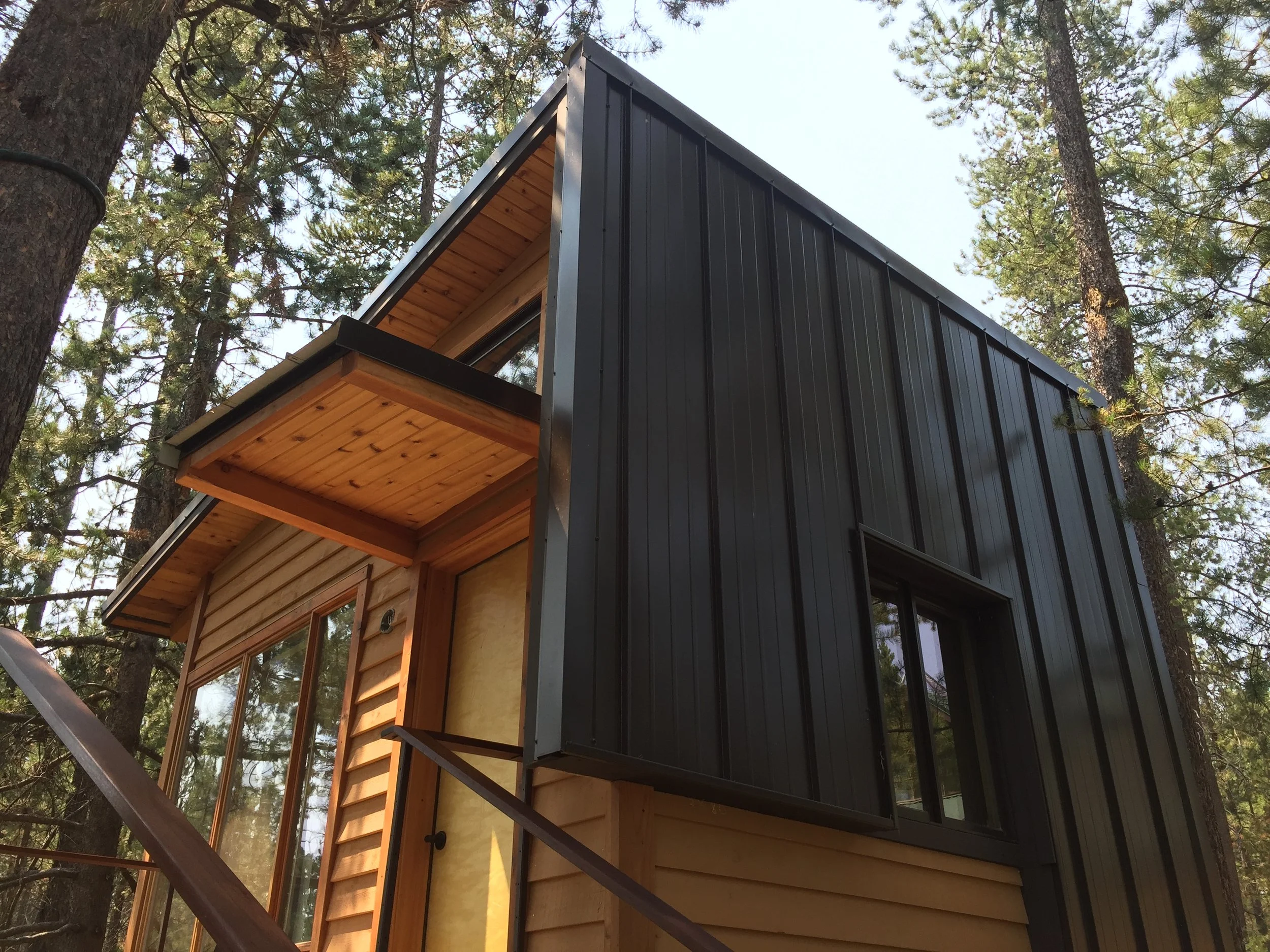 A modern tiny house with black exterior siding, large windows, and a wooden roof overhang, situated among tall pine trees.