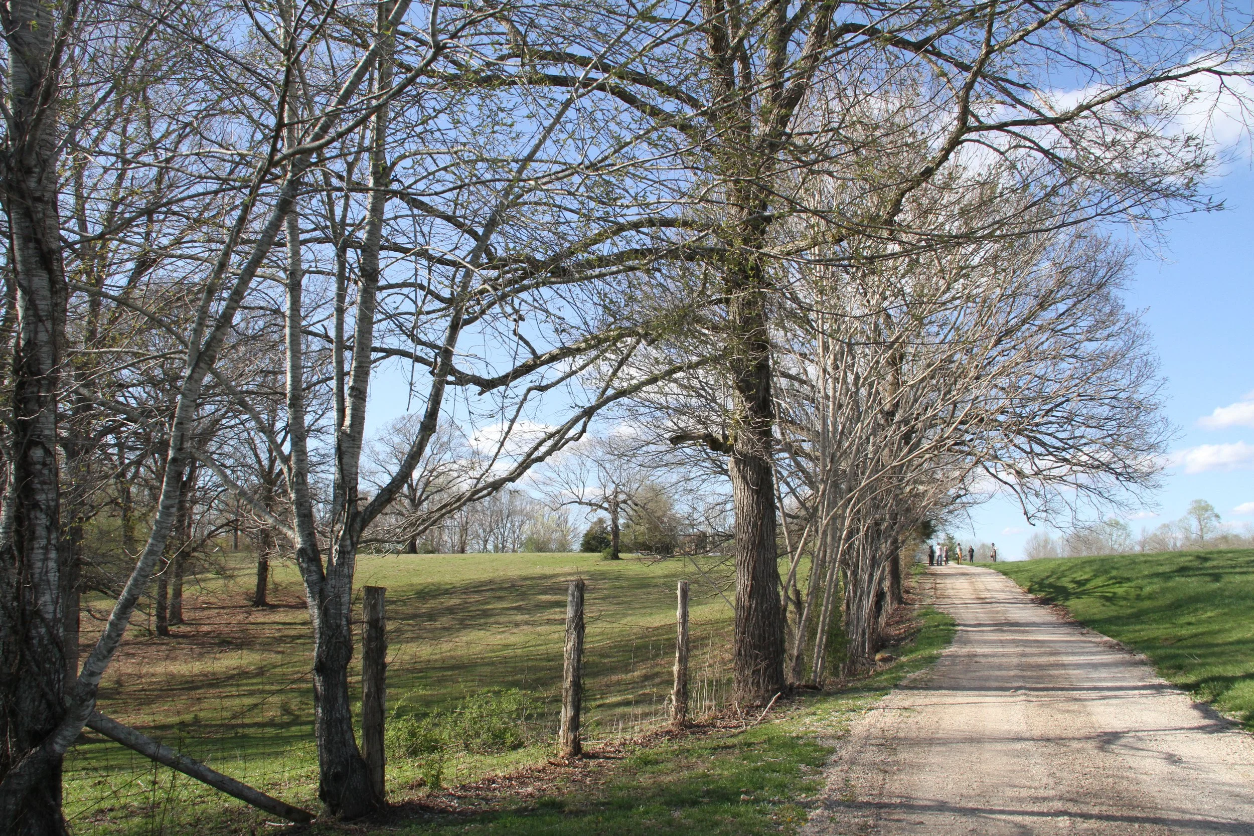 A park scene with a dirt path winding through a grassy area, bordered by leafless trees on a sunny day with a partly cloudy sky. There are a few people walking along the path in the distance.
