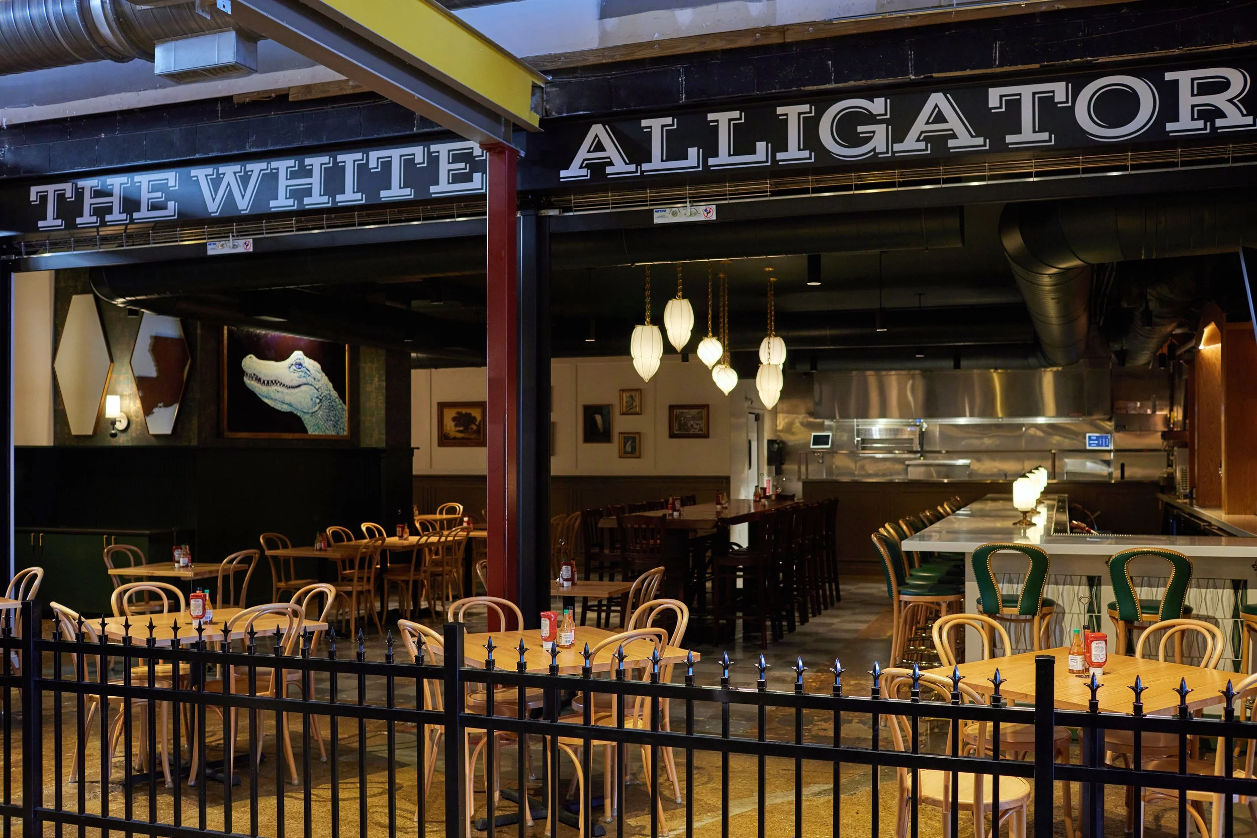 The White Alligator 