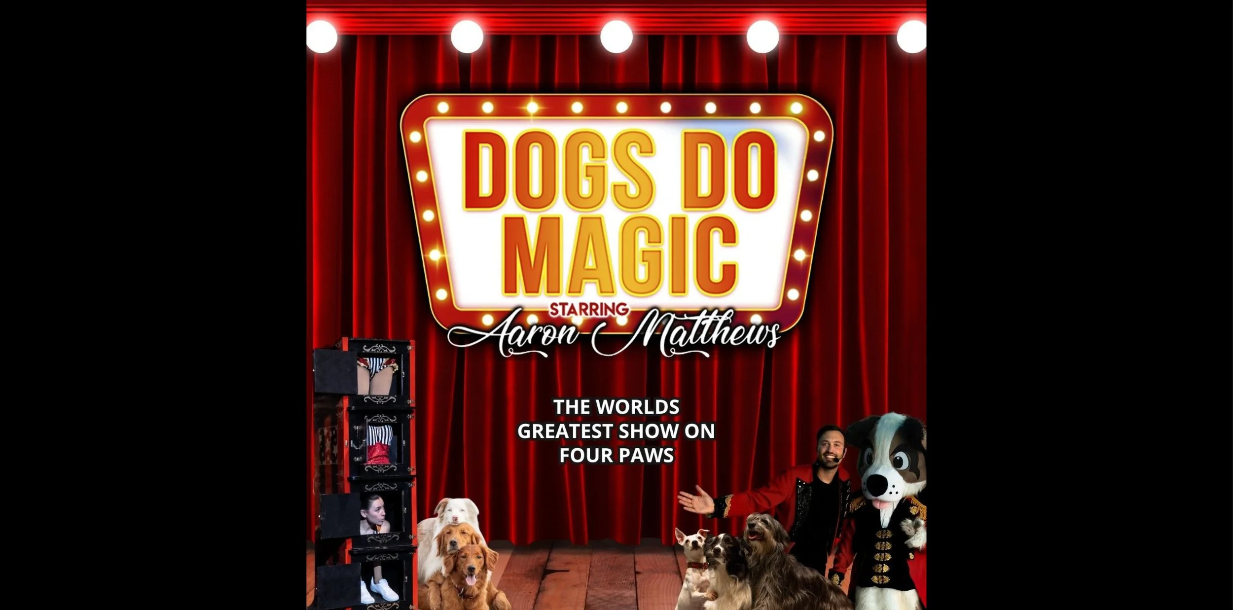 Dogs Do Magic