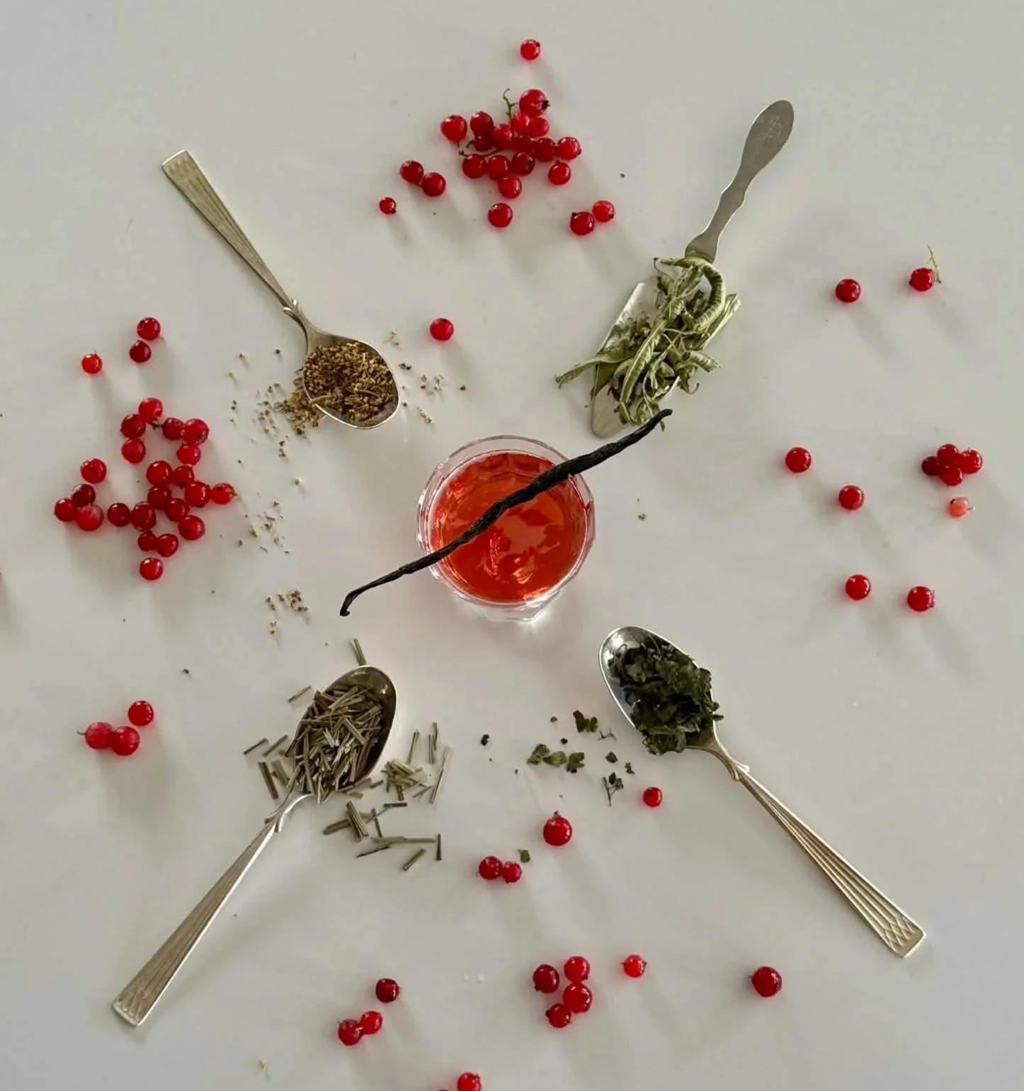 Spices, herbs, and a Ravn & By sparkling botanical drink No 2, natural colour from red currant, arranged on a white surface using spoons, with scattered red berries.