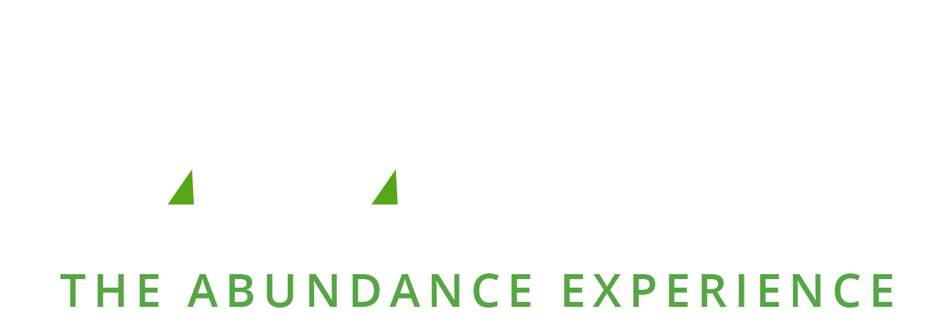 The Abundance Experience