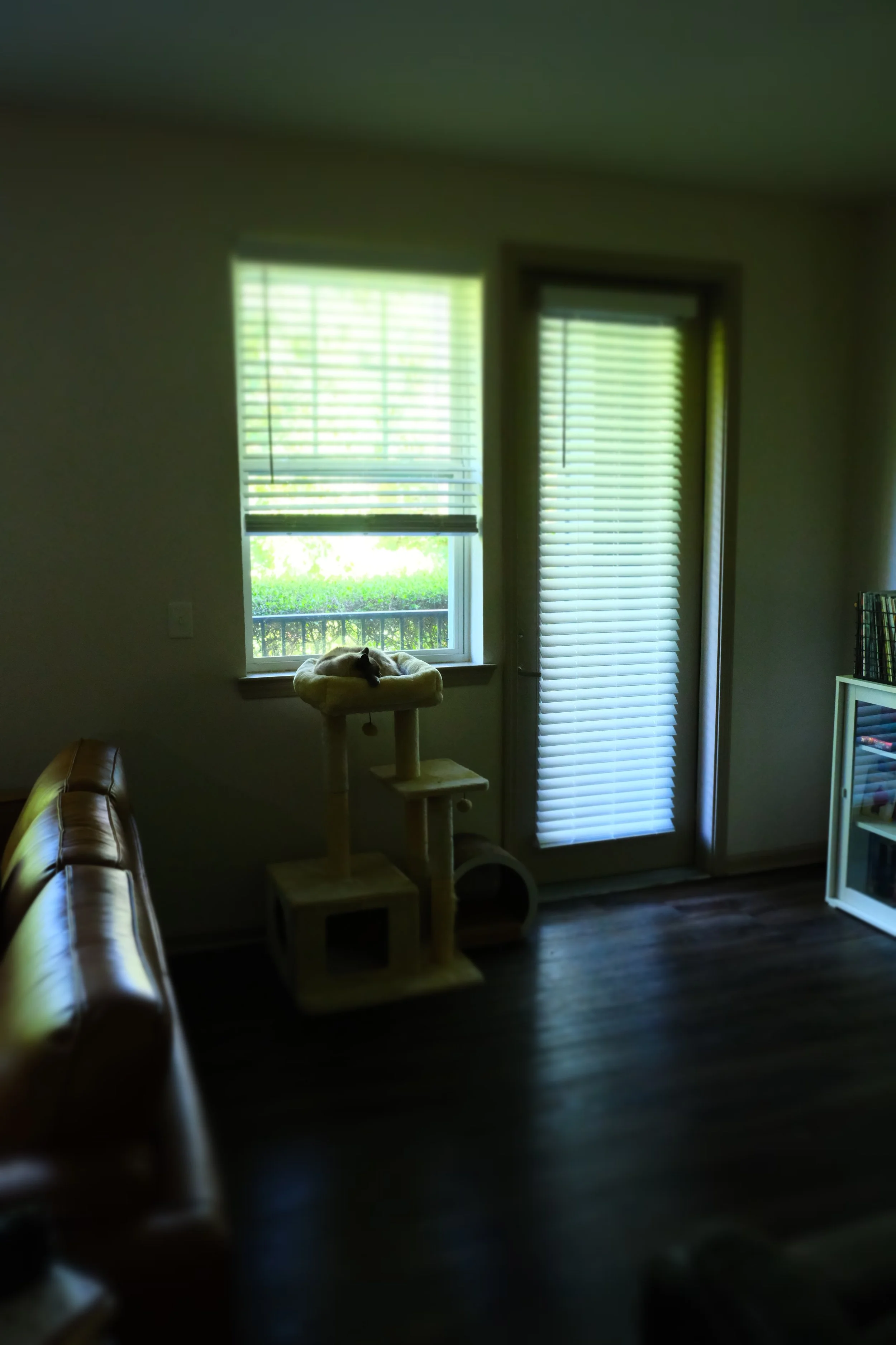 DSCF2505.JPG
