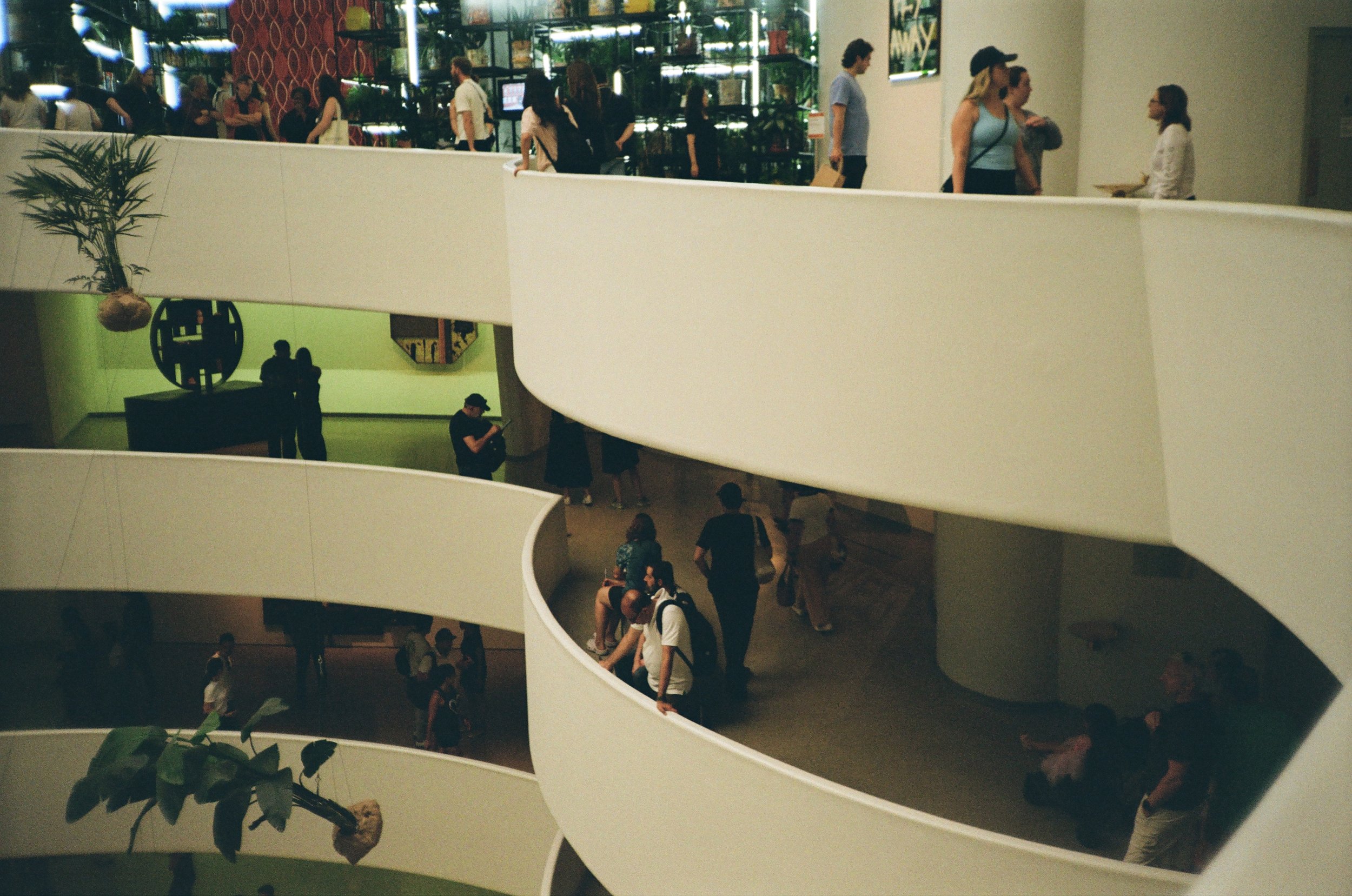 IMG_1515.jpeg
