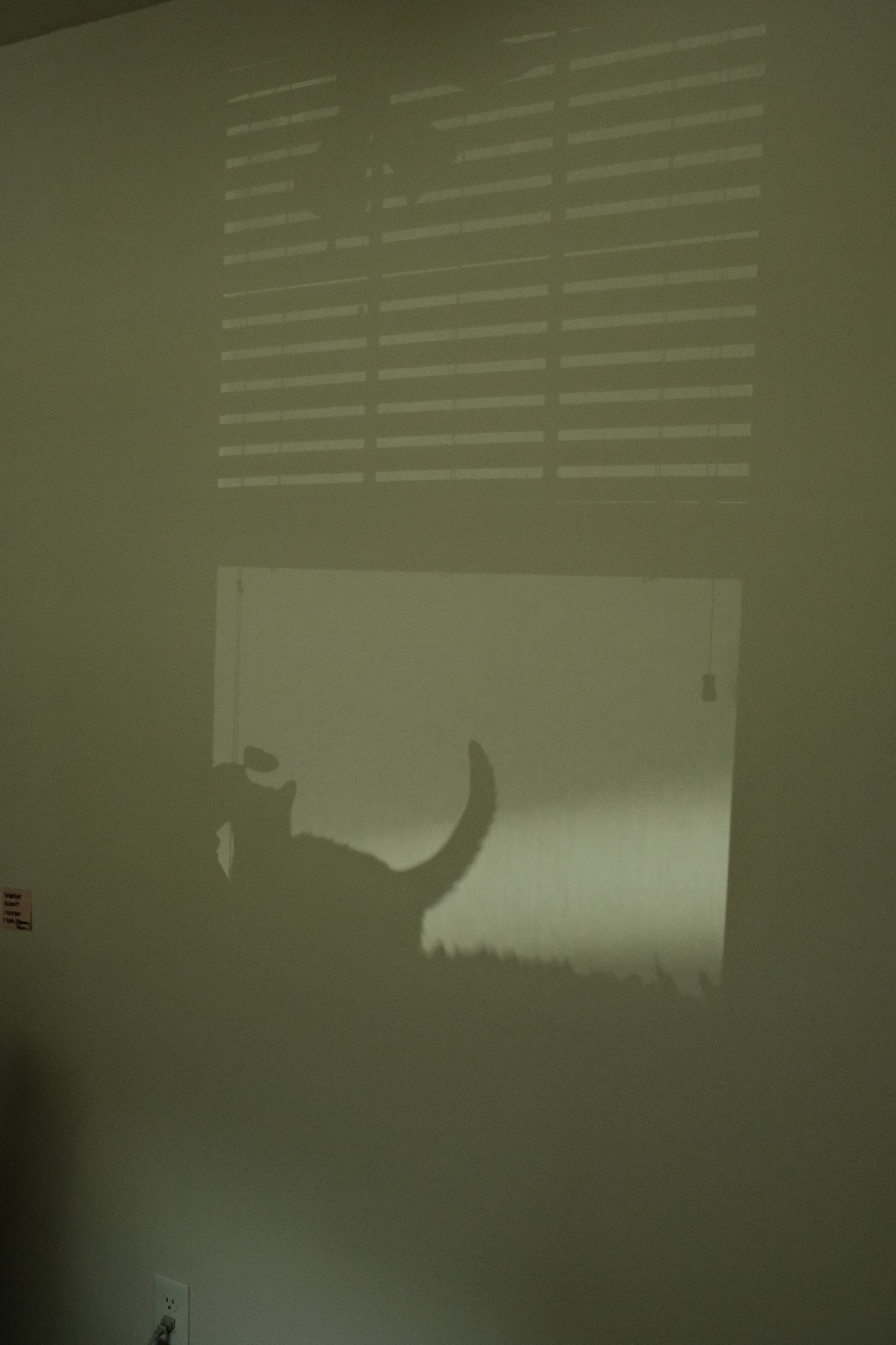 DSCF2560.JPG