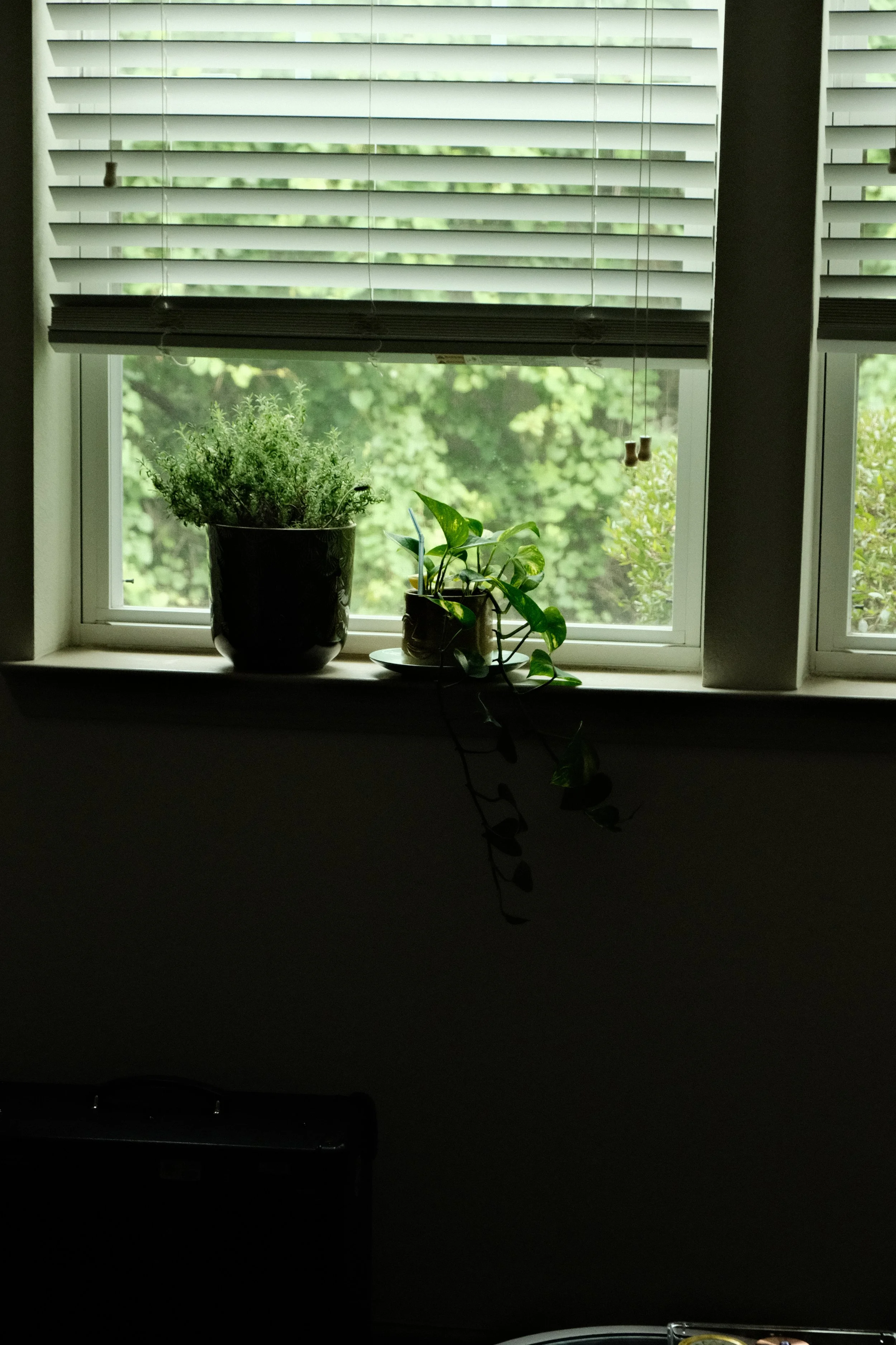 DSCF2555.JPG