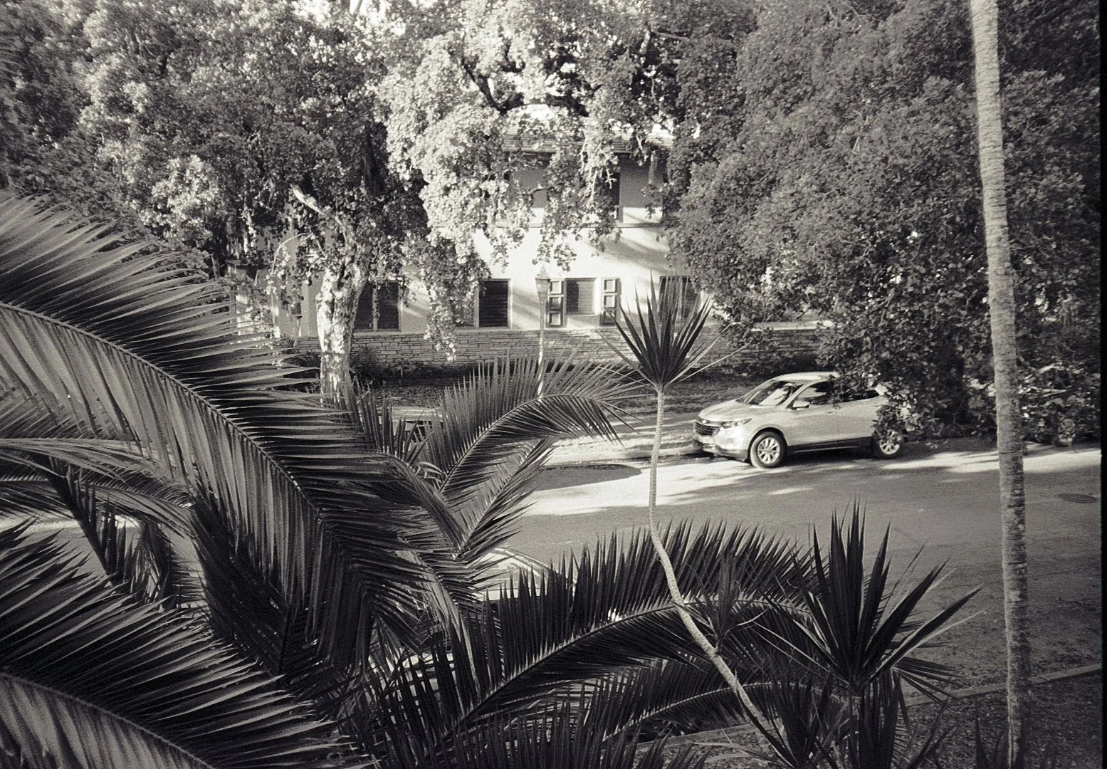 window view_no fence.jpg