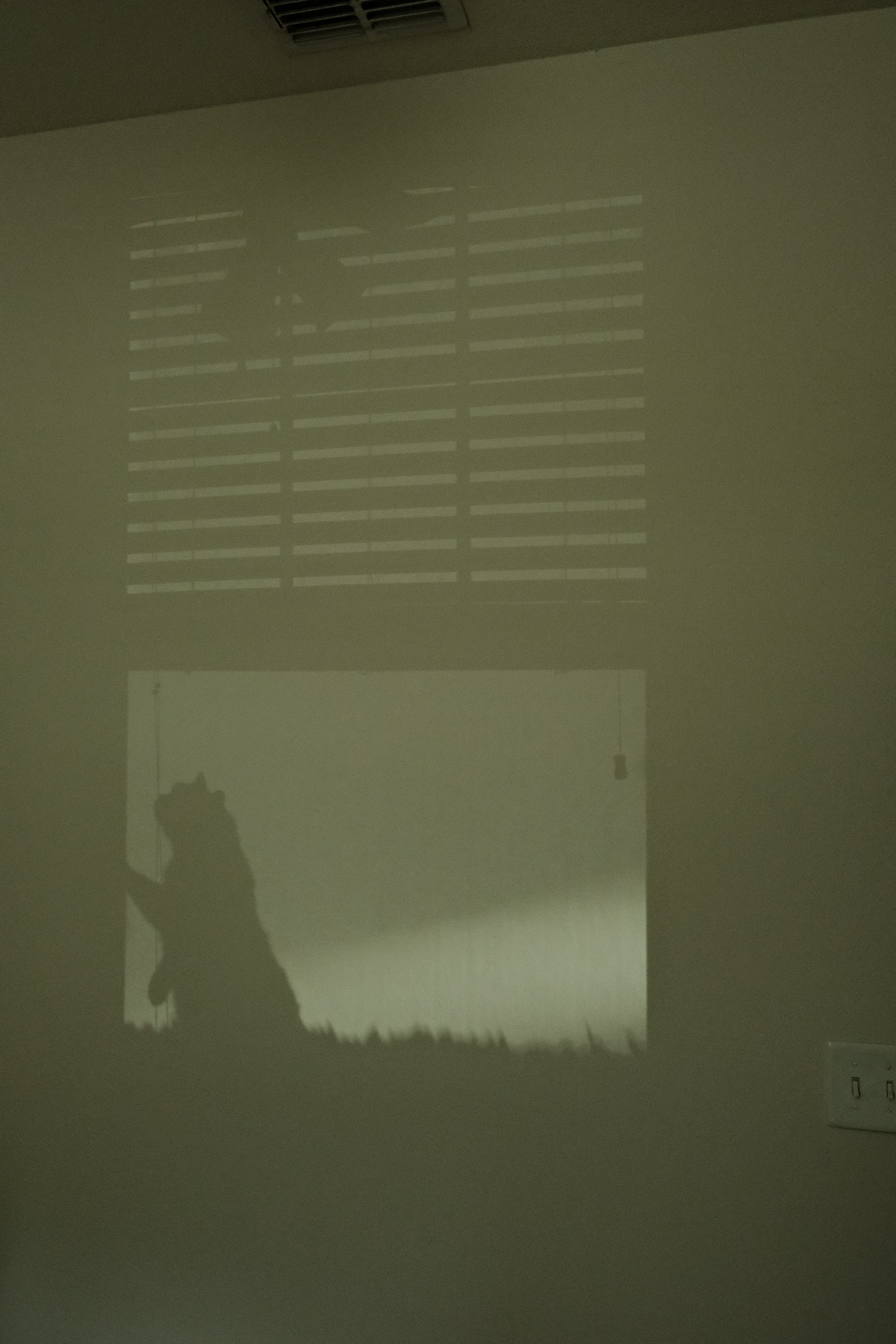 DSCF2563.JPG