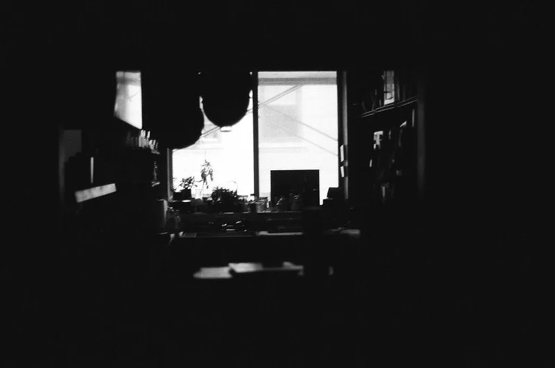 36765091525_f110d5f4d6_c.jpg