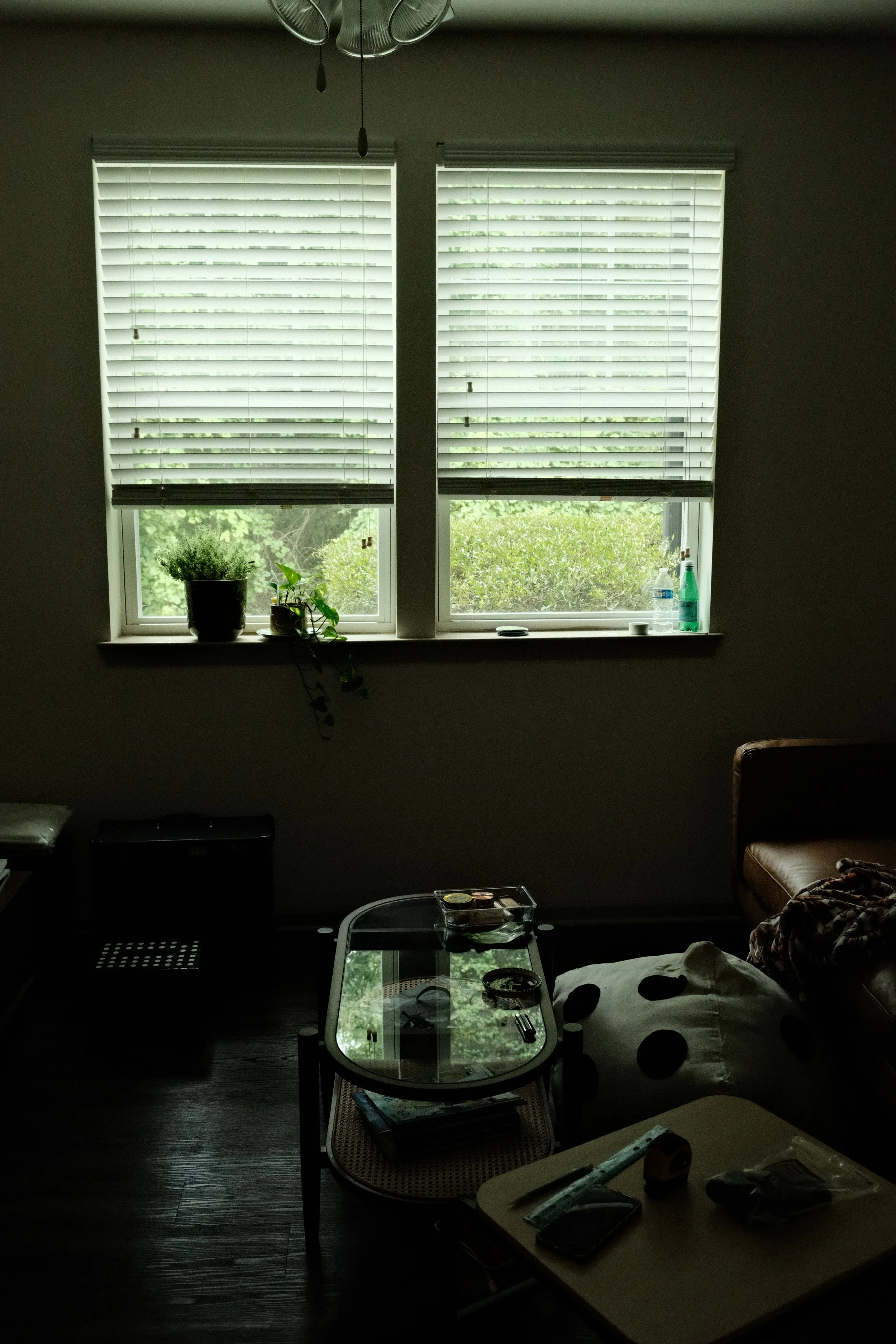 DSCF2556.JPG