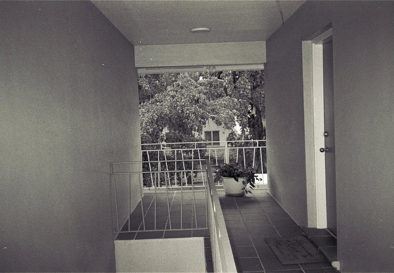 second floor view_no fence.jpg