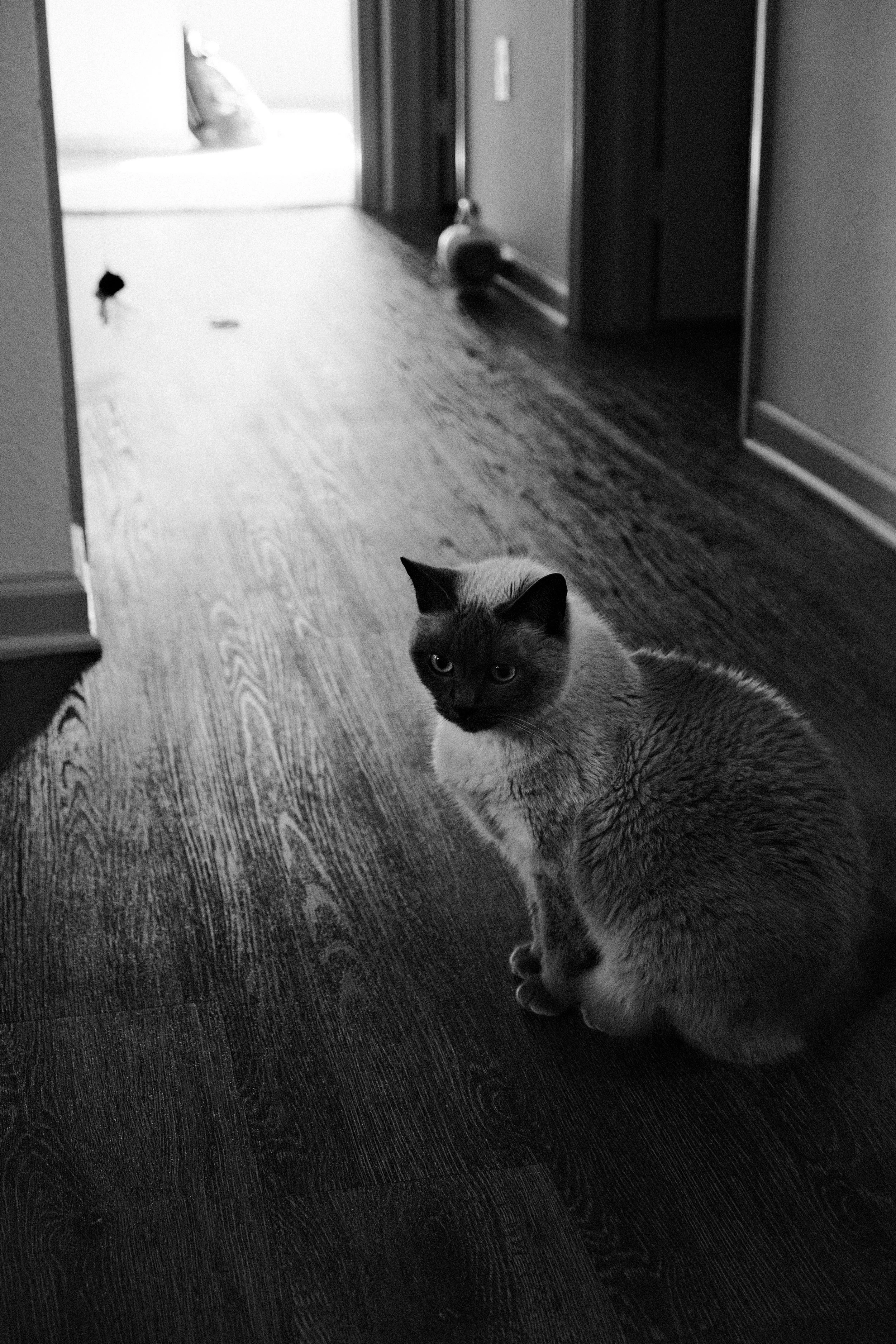 DSCF2508.JPG