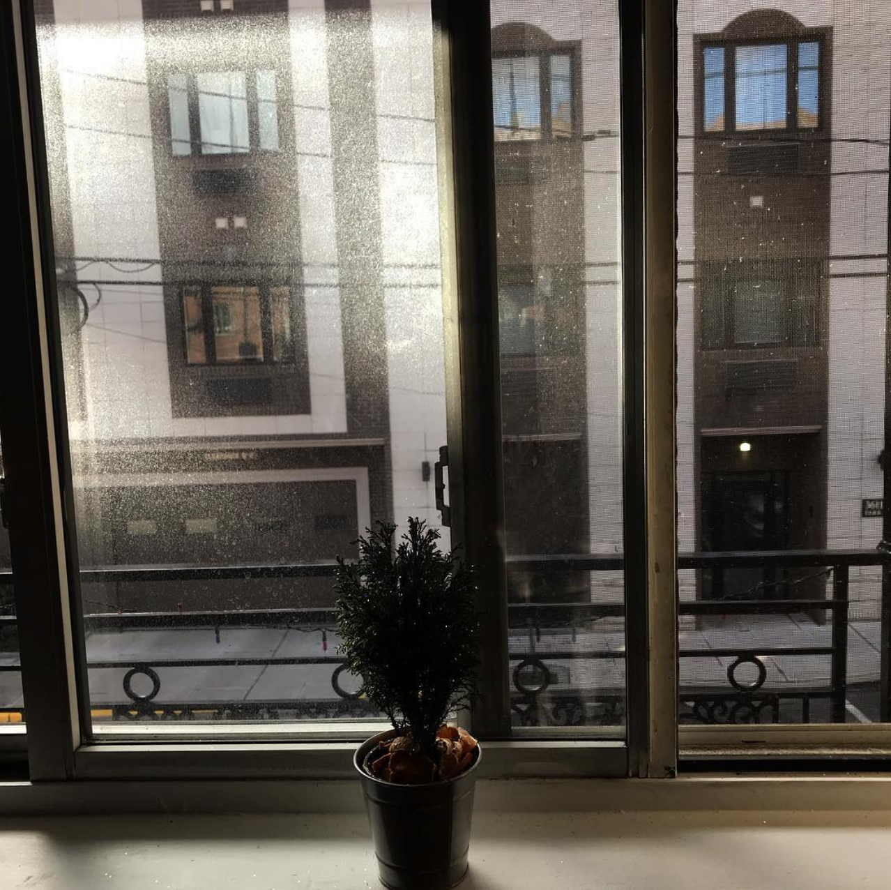 Front of apartment view.png