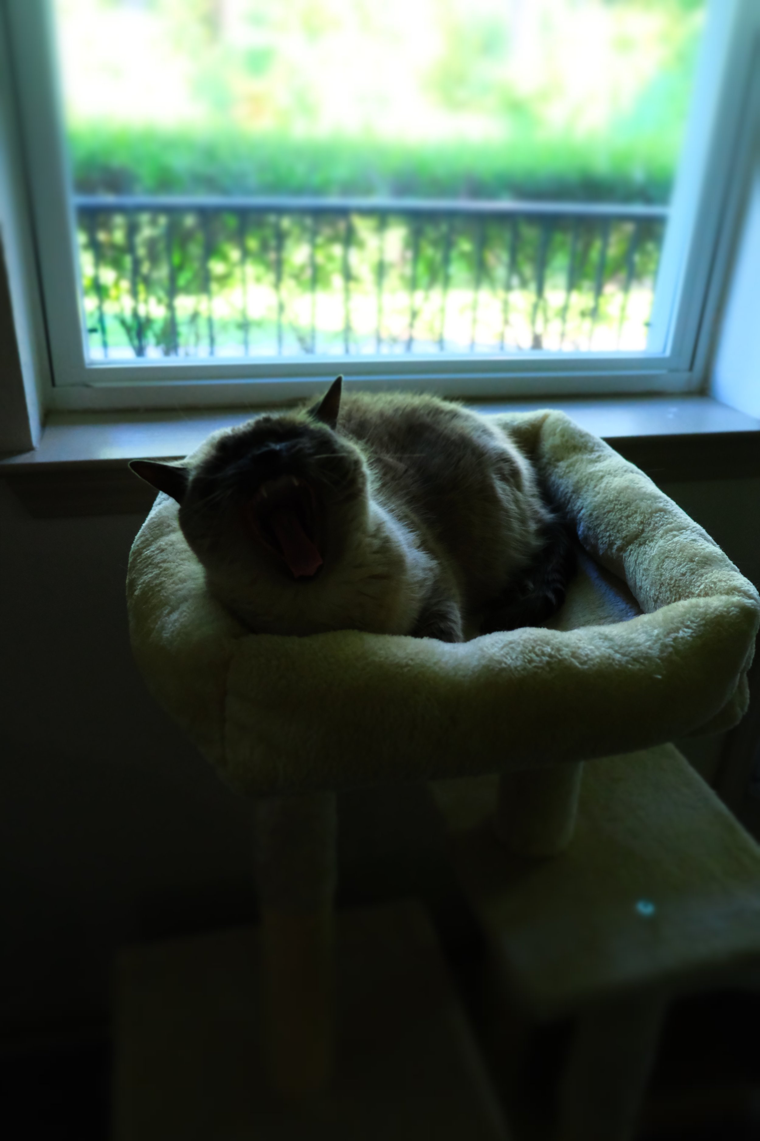DSCF2507.JPG