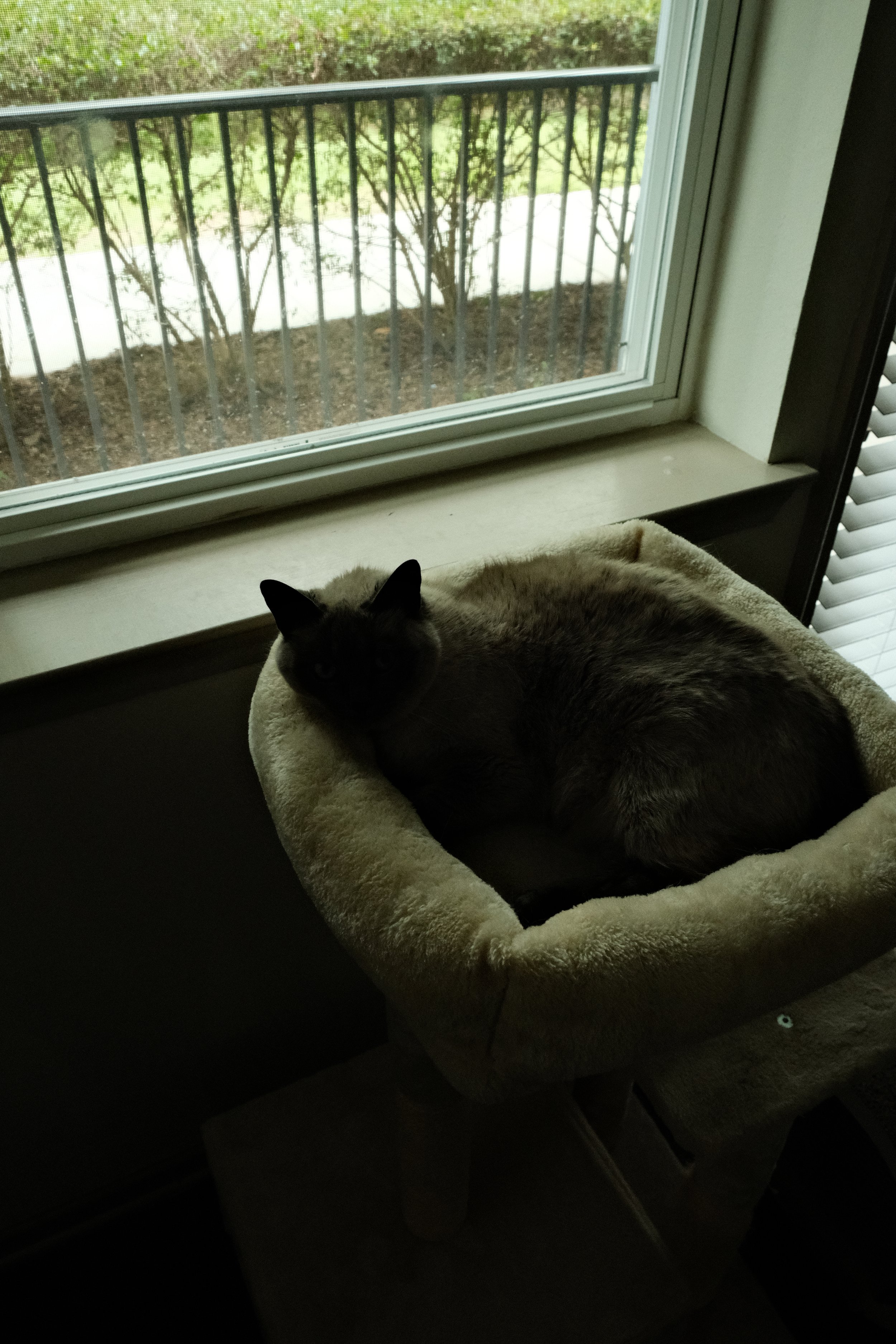 DSCF2559.JPG