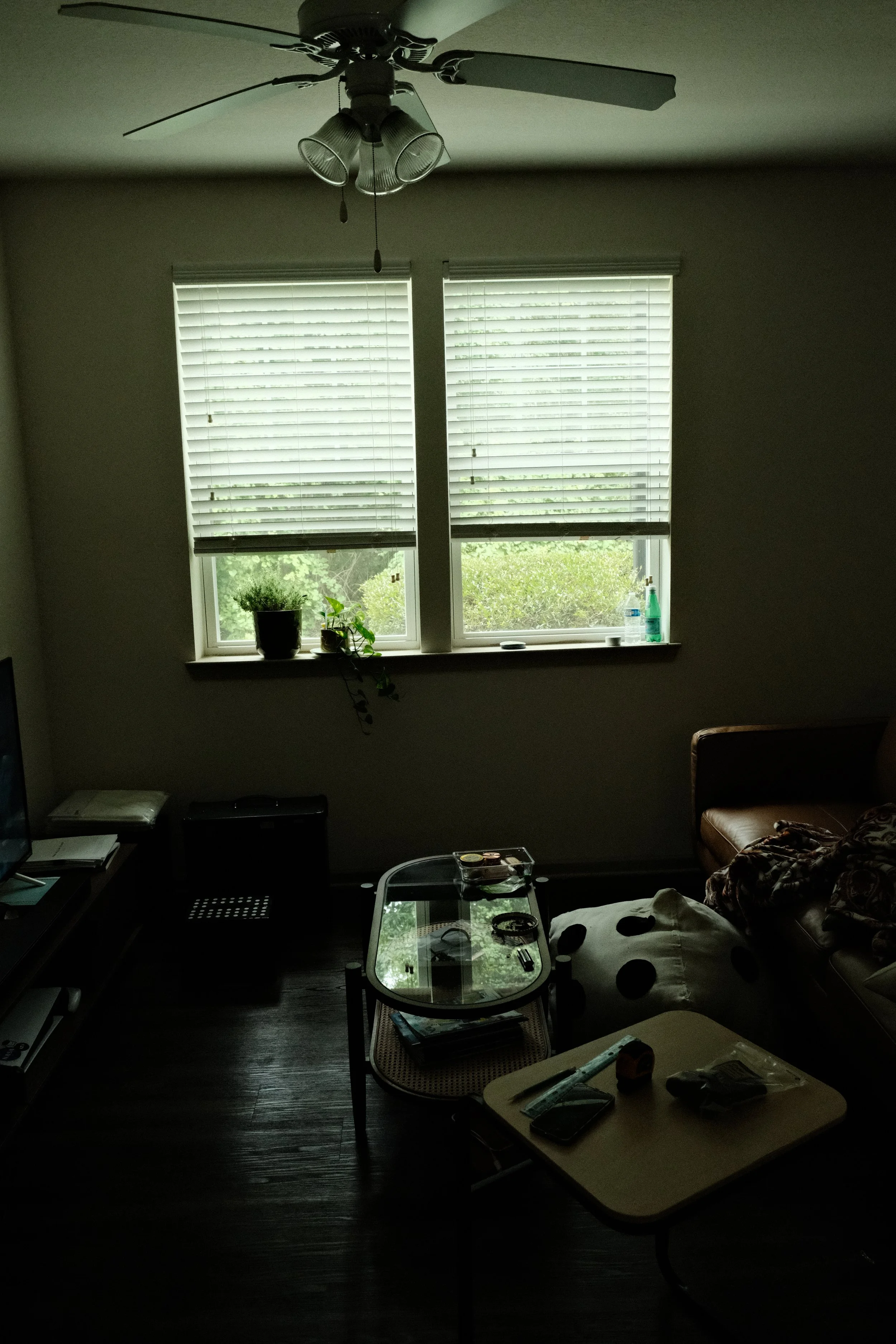 DSCF2557.JPG