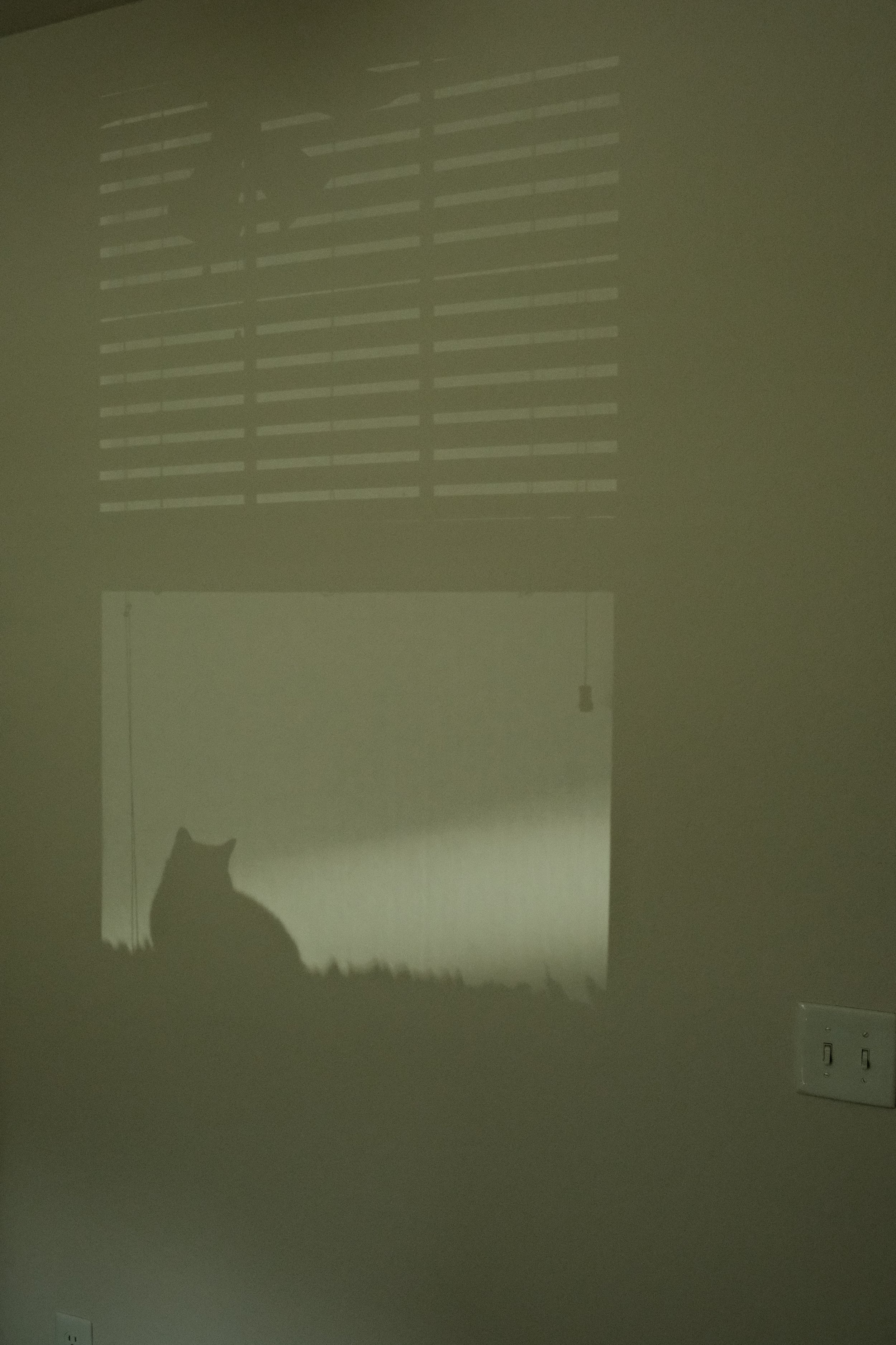DSCF2561.JPG