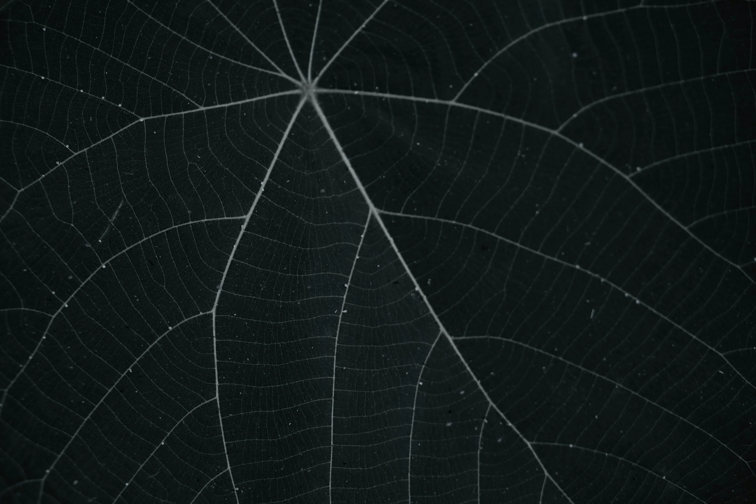 What does systems change actually mean?