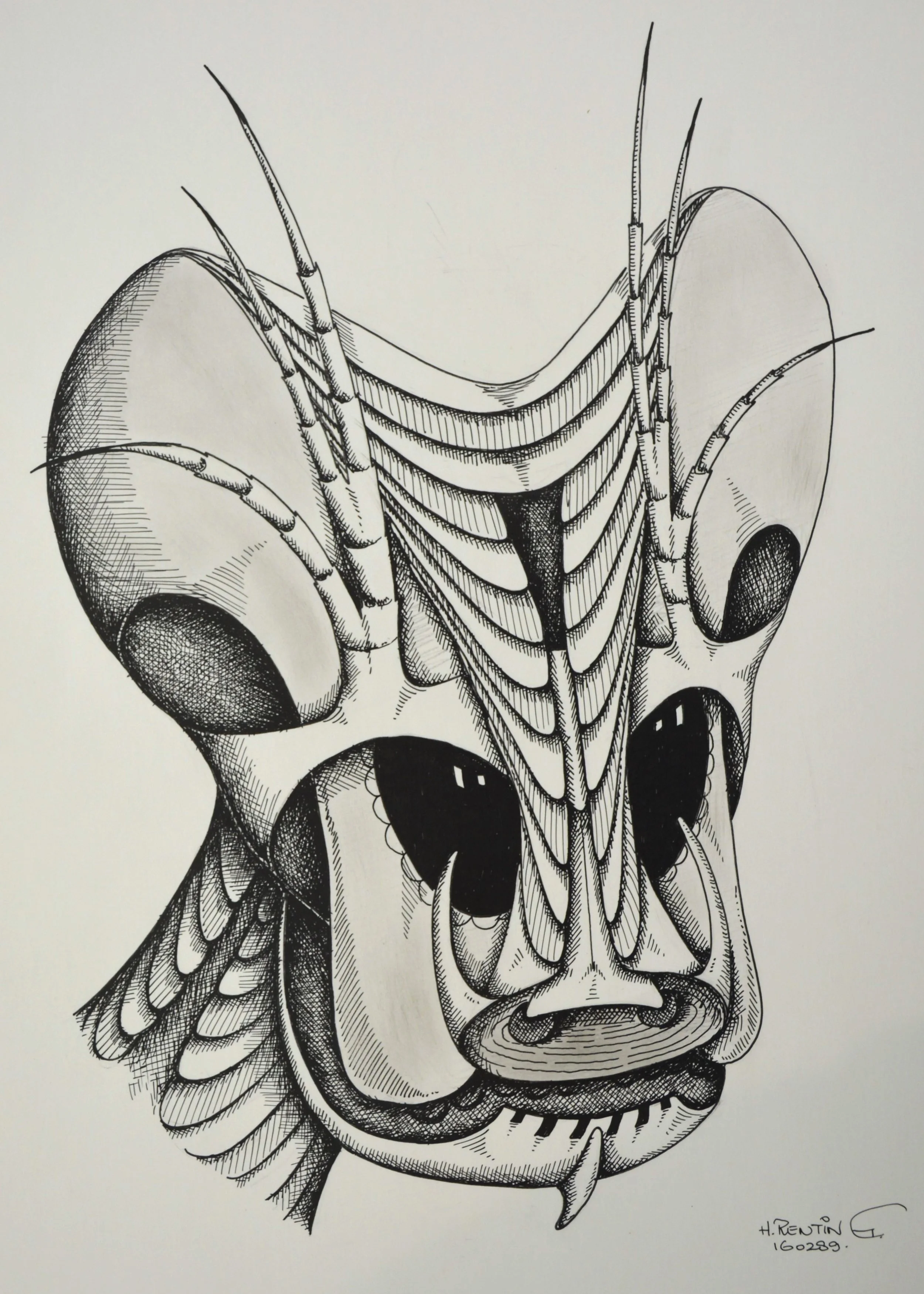 HEAD #4