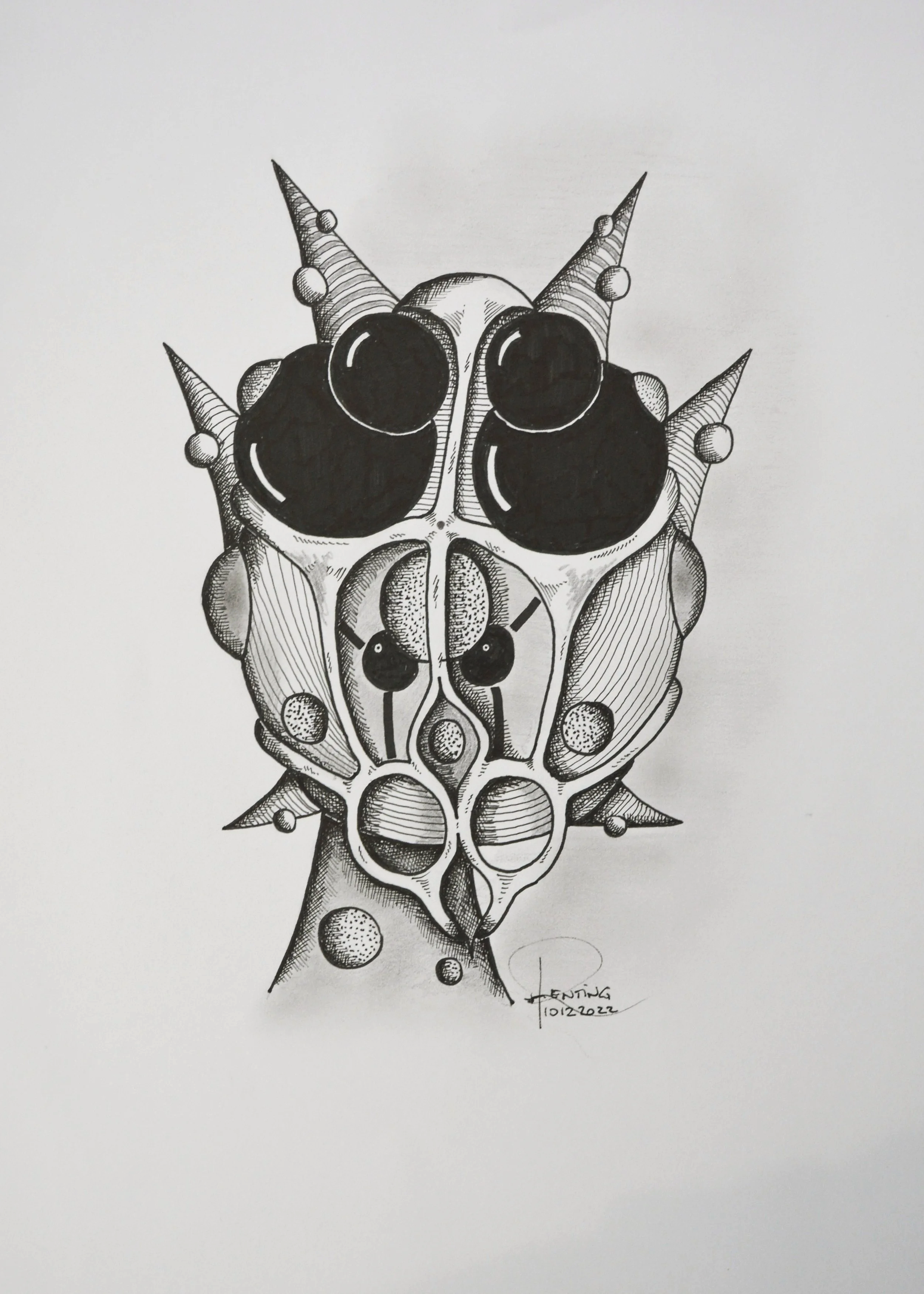 HEAD #12