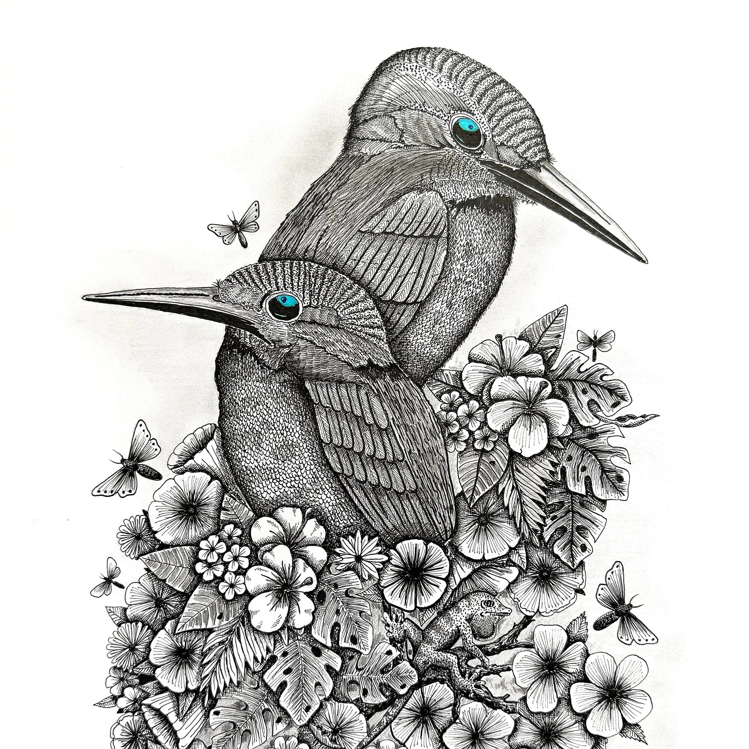 Drawings :  BLENDING  NATURE