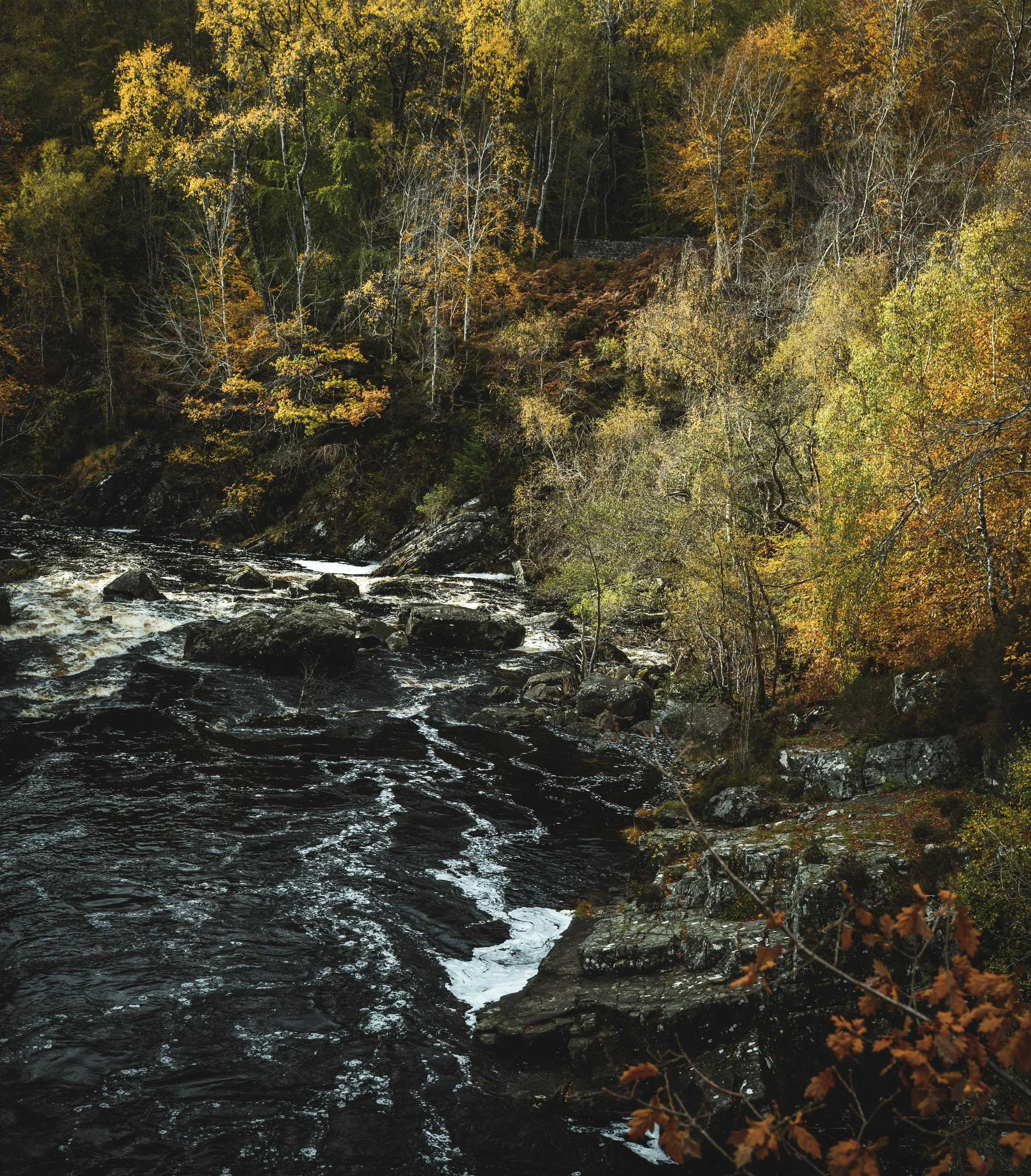 A dark river decorated by colourful tree's in this idyllic area.