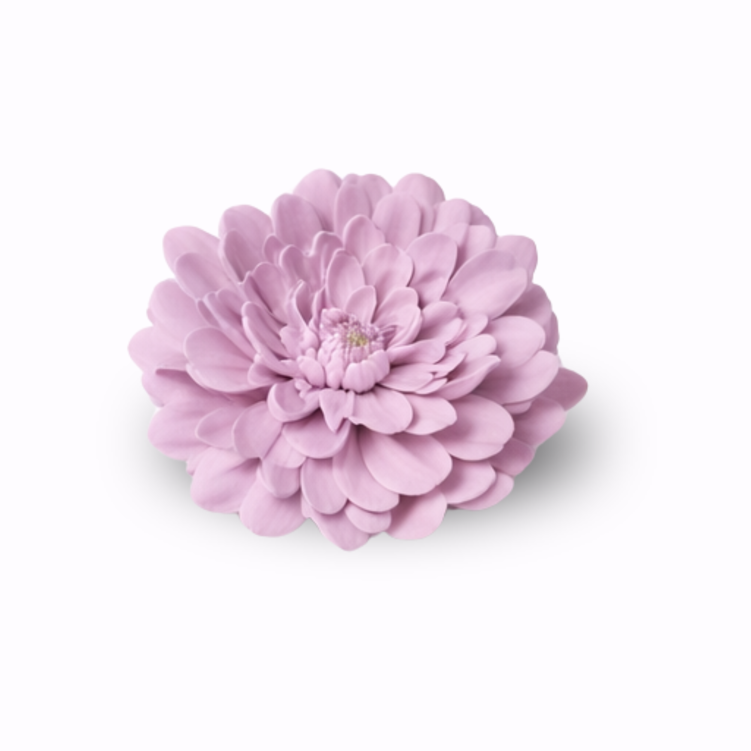 zinnia (5).png