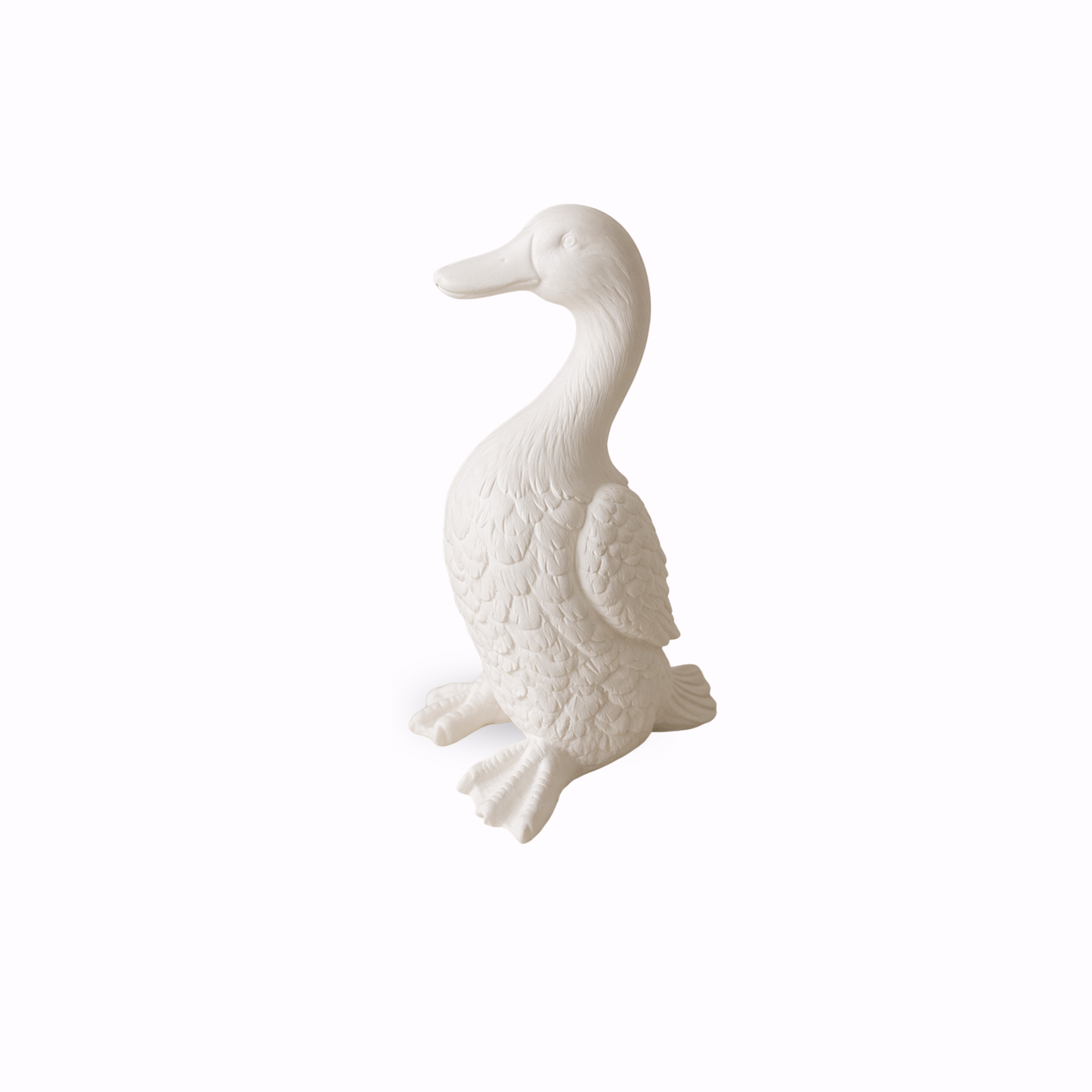 duck.png