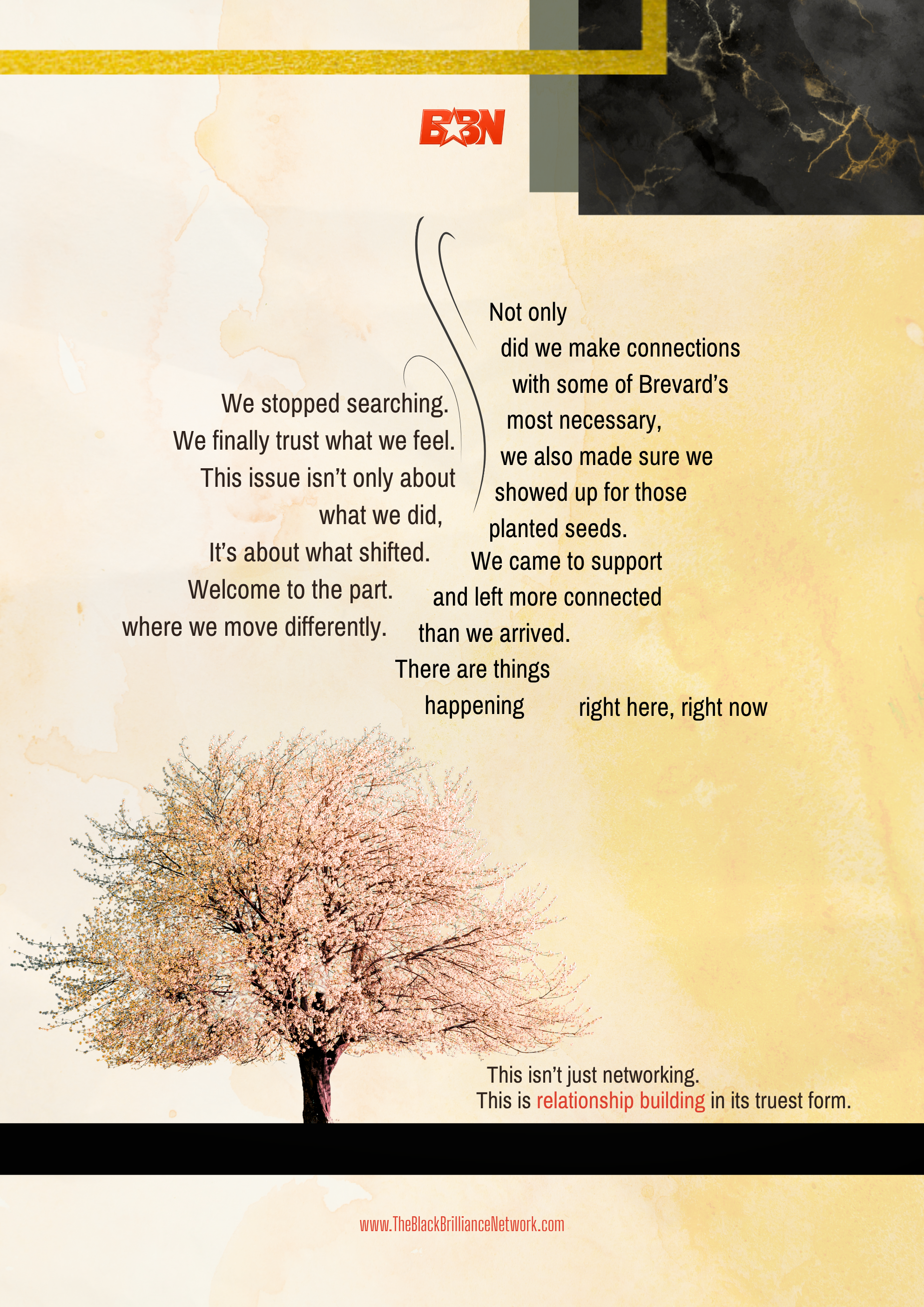A stylized graphic with a pink cherry blossom tree on the left and text on the right discussing networking, relationships, and trust. The logo 'BBN' is at the top, and a URL "www.TheBlackBrillianceNetwork.com" is at the bottom.