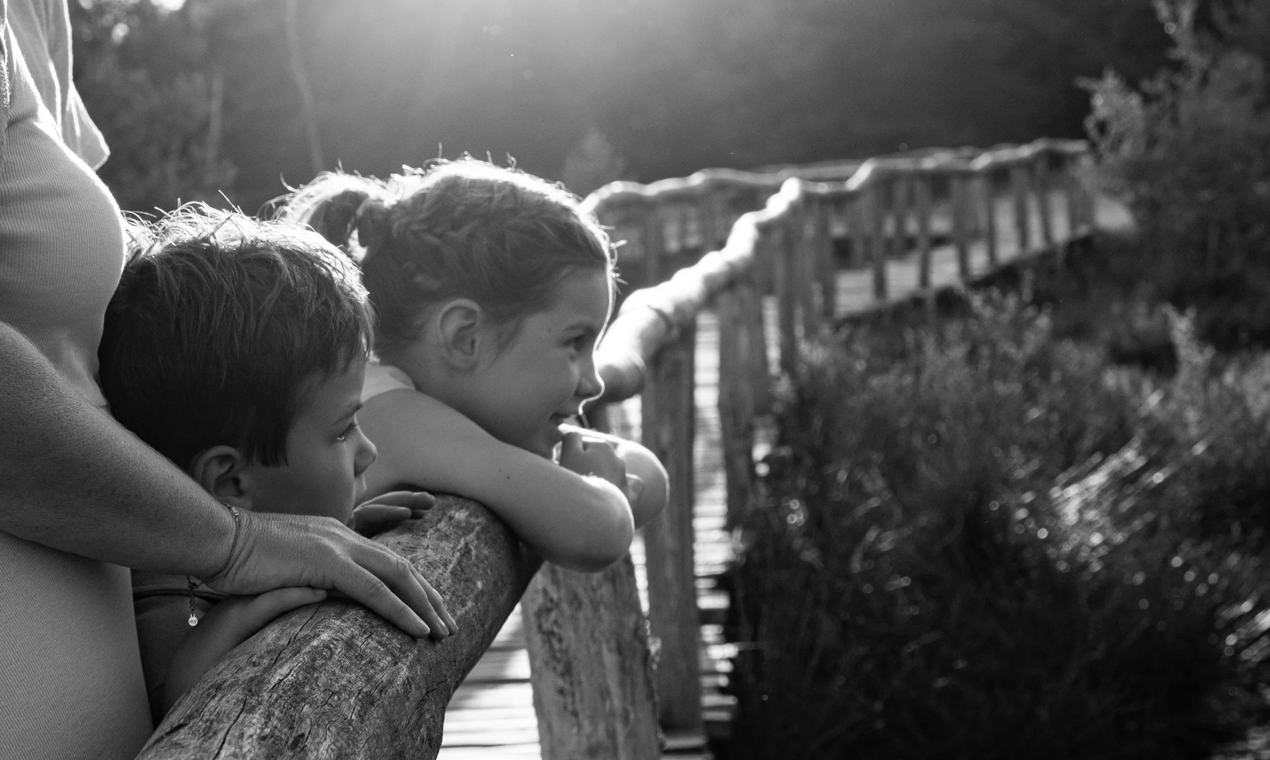 NNikolPeckaPhotography-family-goldenhourshoot -208.jpg