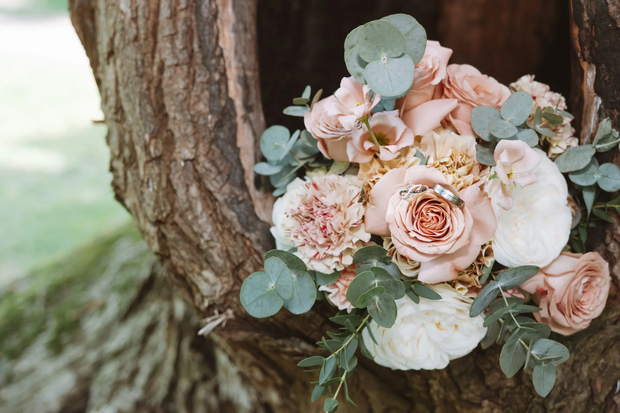 NikolPeckaPhotography-Weddings-Caro&Tijs695.jpg