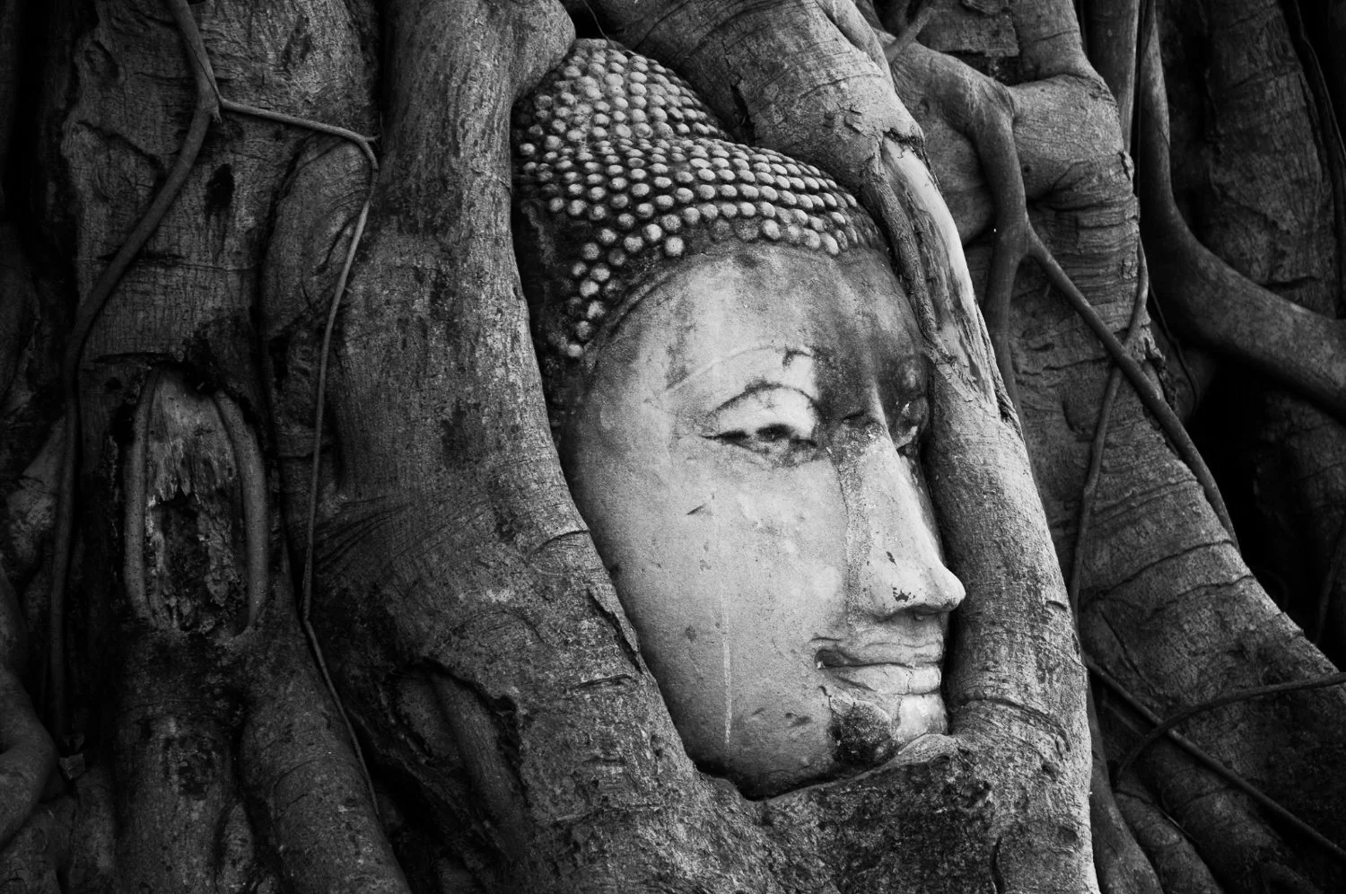 NikolPeckaPhotography-thailand-statue.jpg