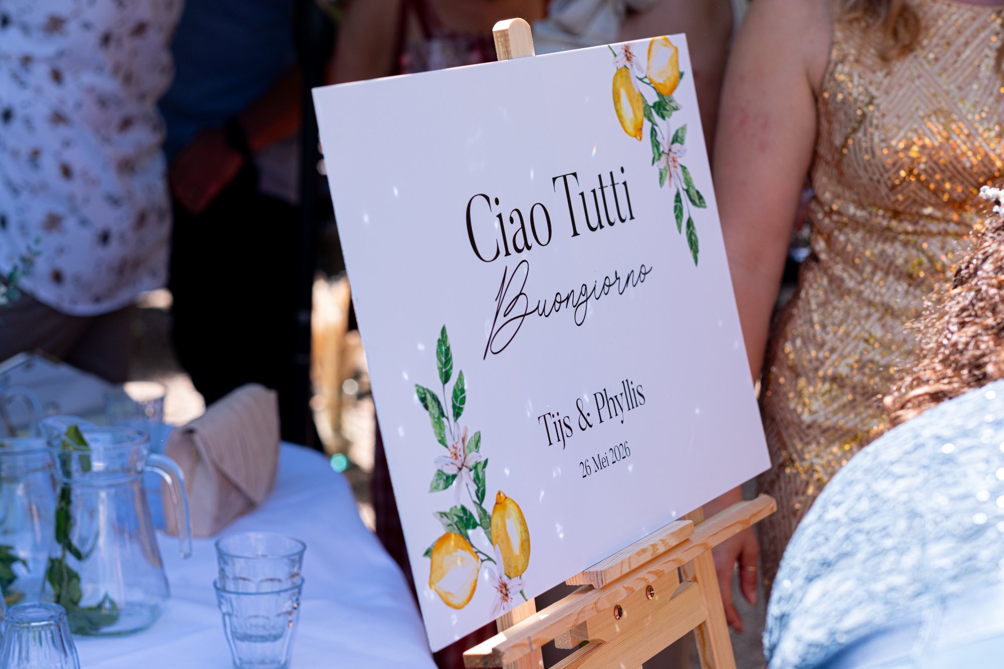 NikolPeckaPhotography-Weddings-Phyllis&Tijs03422.jpg