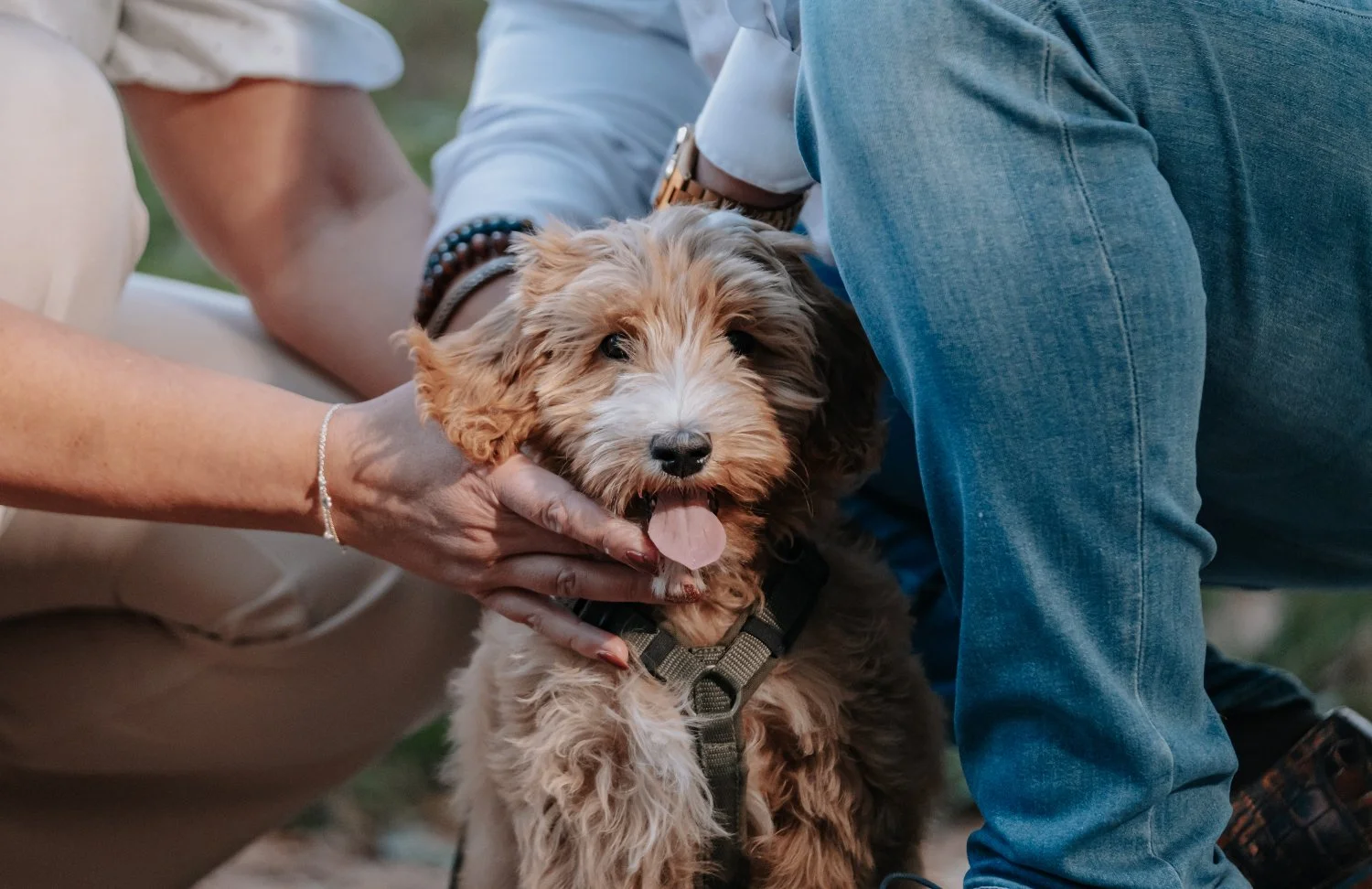 Real and relaxed photography by Nikol Pecka, capturing authentic moments across portraits, families, weddings, brand & business, and animals. Based in the Netherlands, speaking Czech and English, and available for travel.