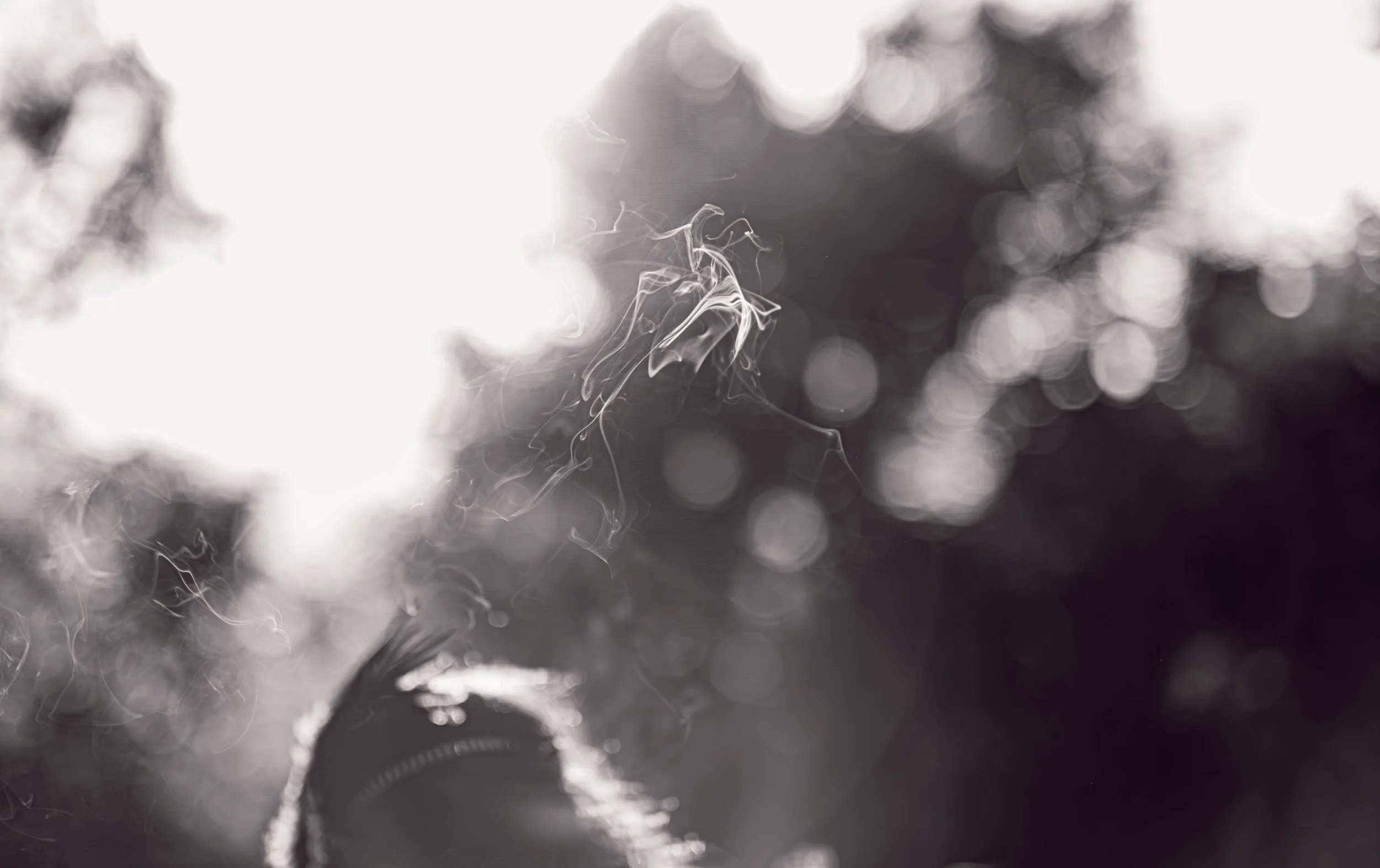 NikolPecka-WeddingPhotography-Robert&Stephanie-701.jpg