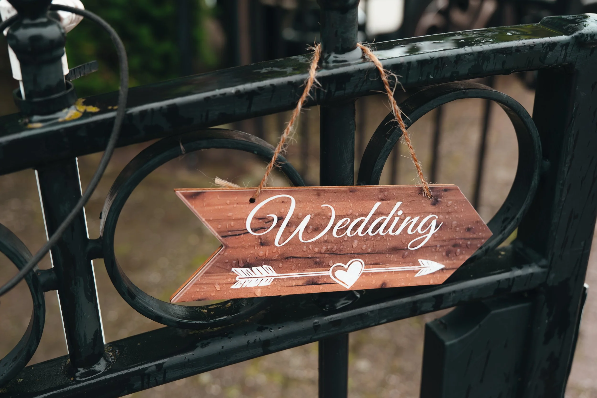 NikolPeckaPhotography-Weddingphotography-Patricia-Mark-June2026 -594.jpg