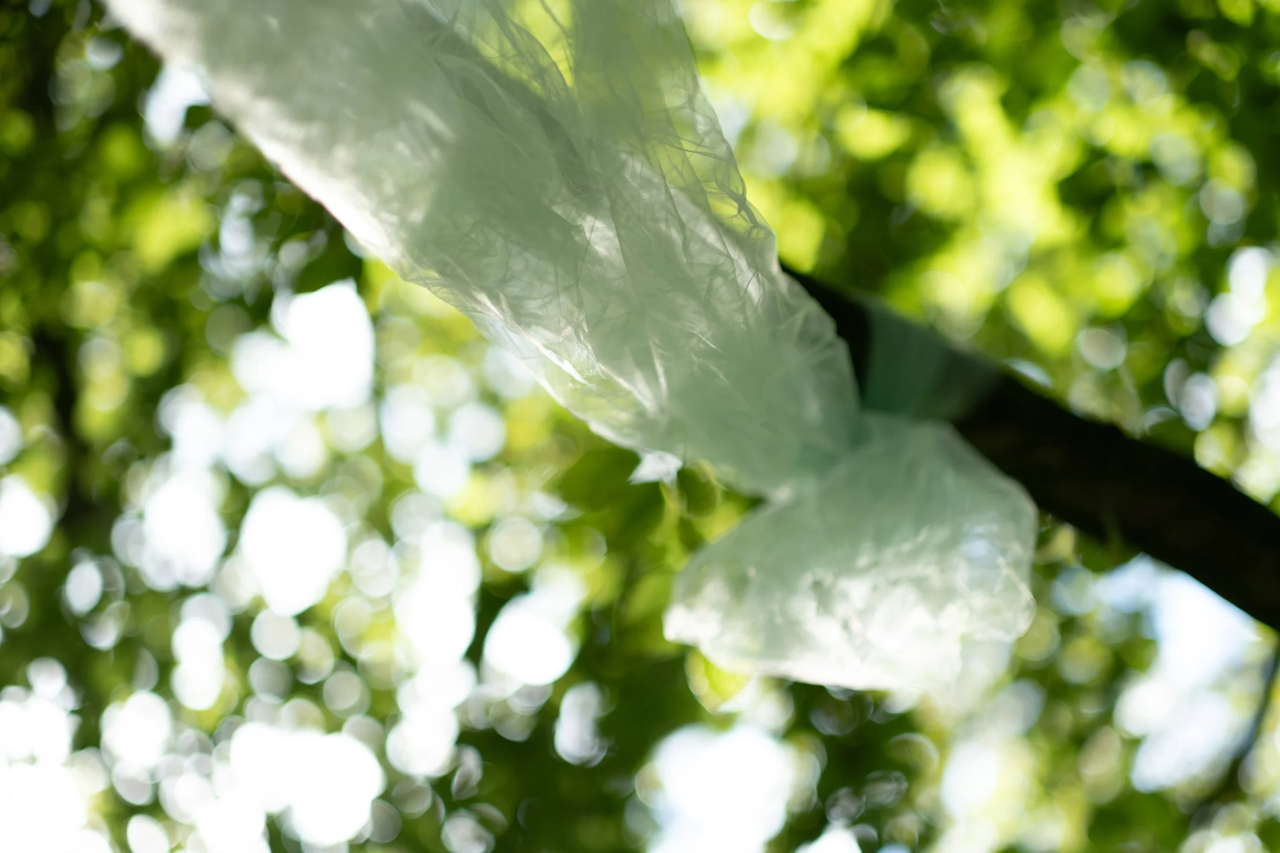 NikolPecka-WeddingPhotography-Robert&Stephanie-698.jpg