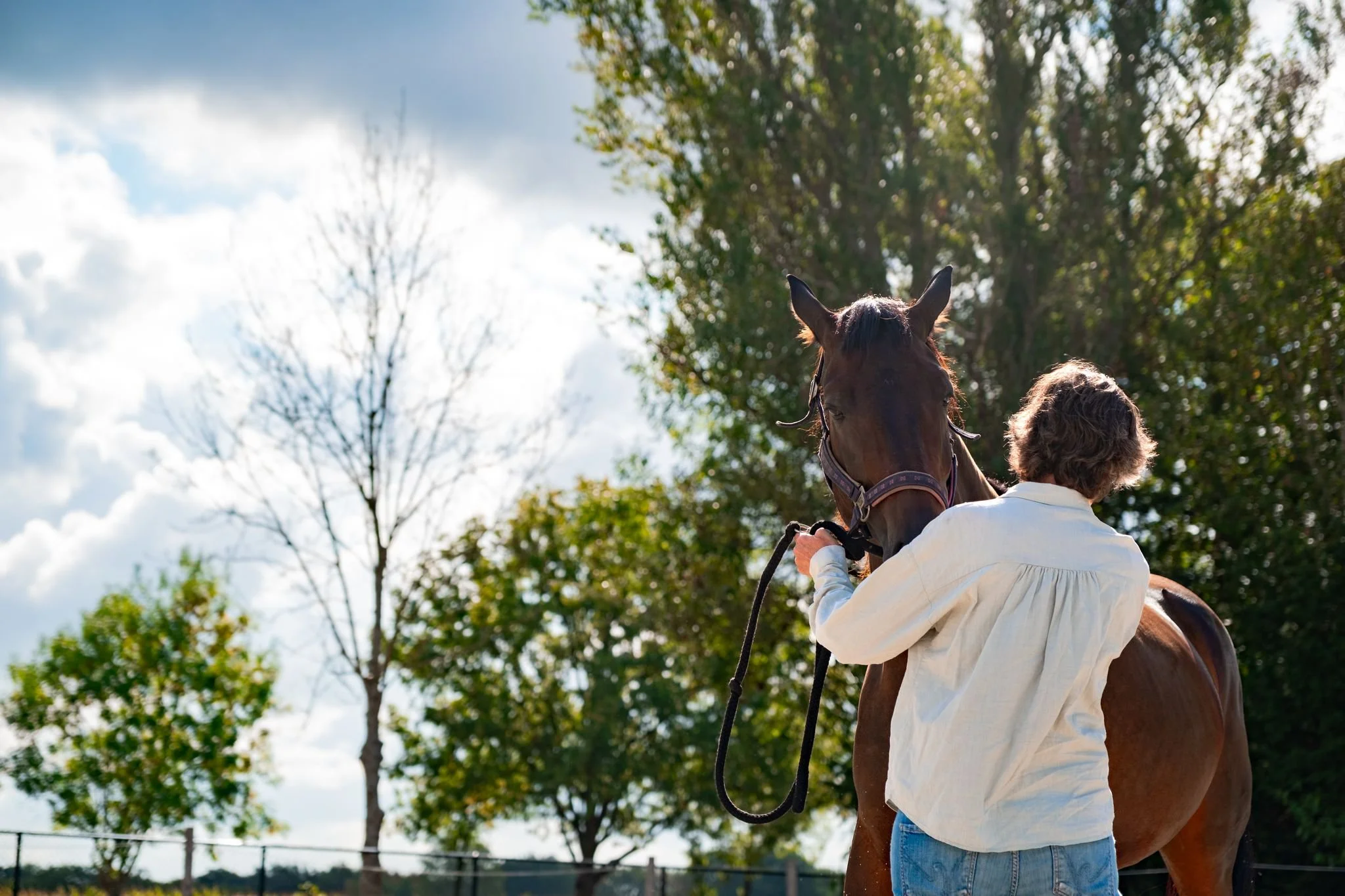 SN-StardustMedia-Photography-Animals-Horse-SuzyGodsey.jpg