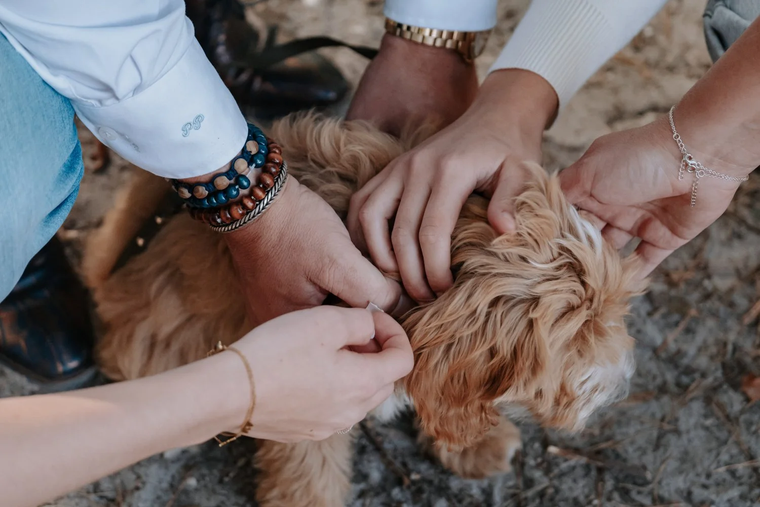 Real and relaxed photography by Nikol Pecka, capturing authentic moments across portraits, families, weddings, brand & business, and animals. Based in the Netherlands, speaking Czech and English, and available for travel.